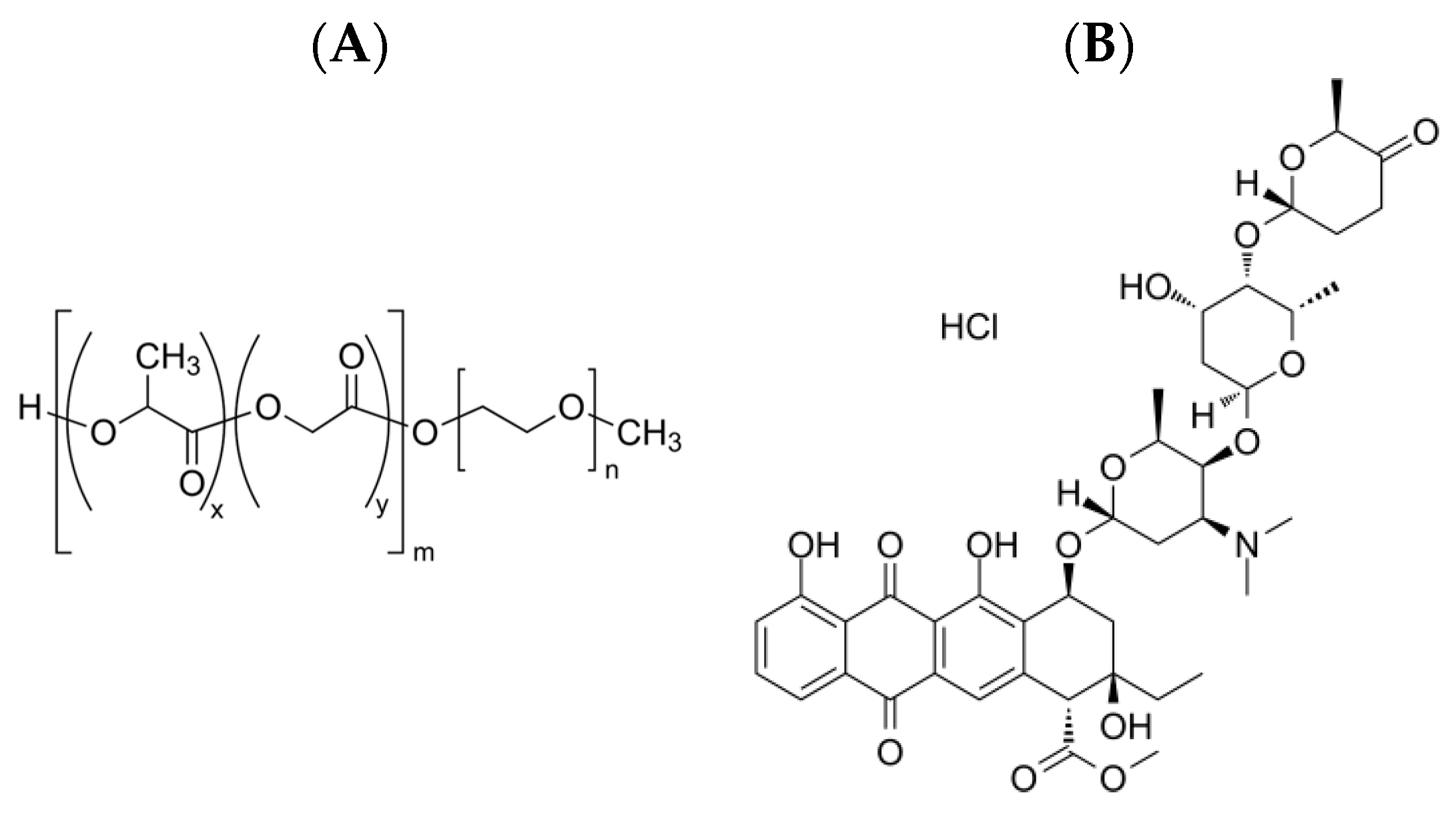 Processes 13 00112 g001