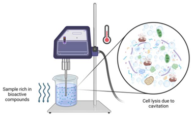 Processes 13 00120 i001