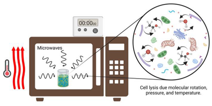 Processes 13 00120 i002