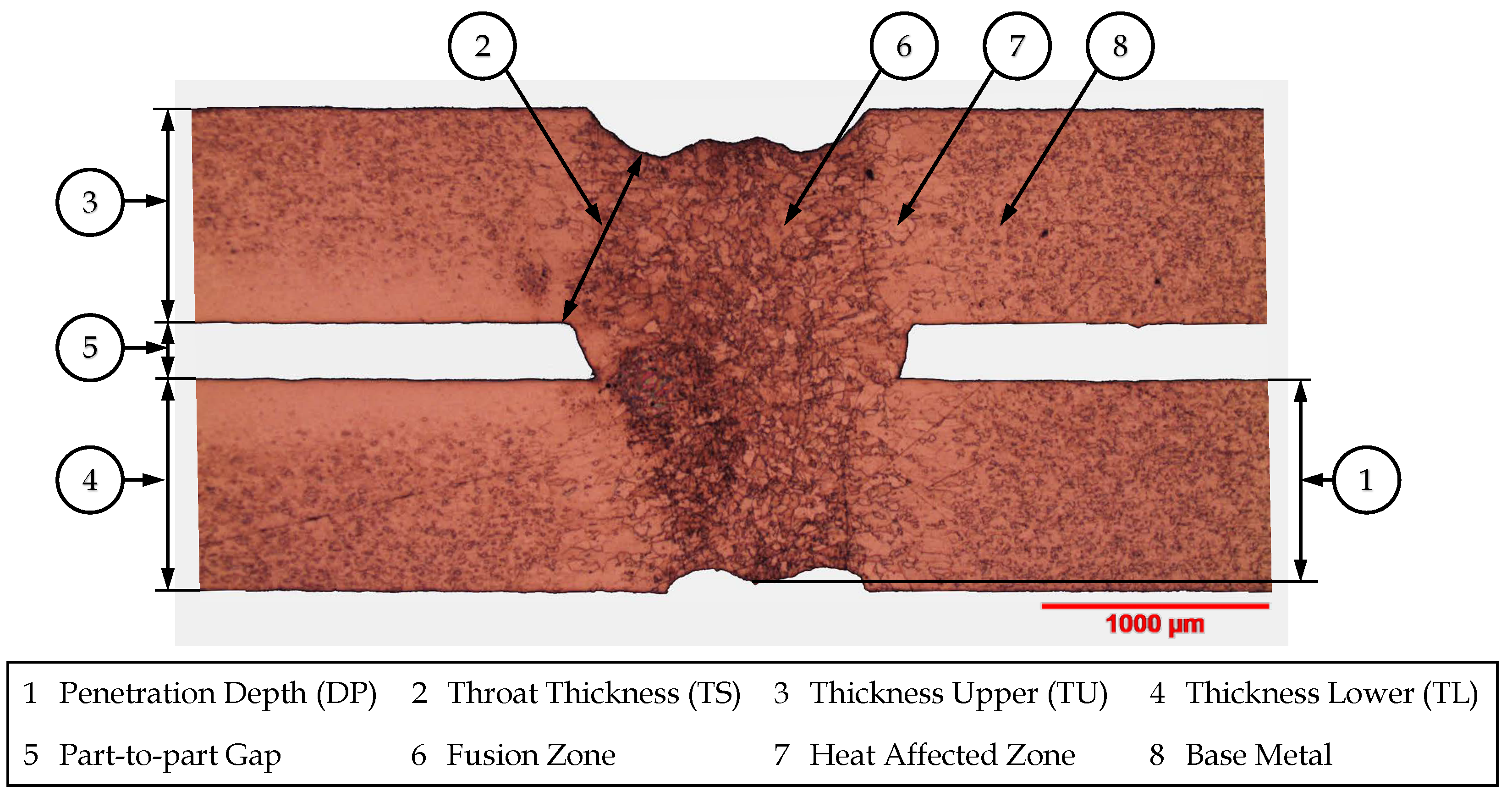 Processes 13 00121 g001