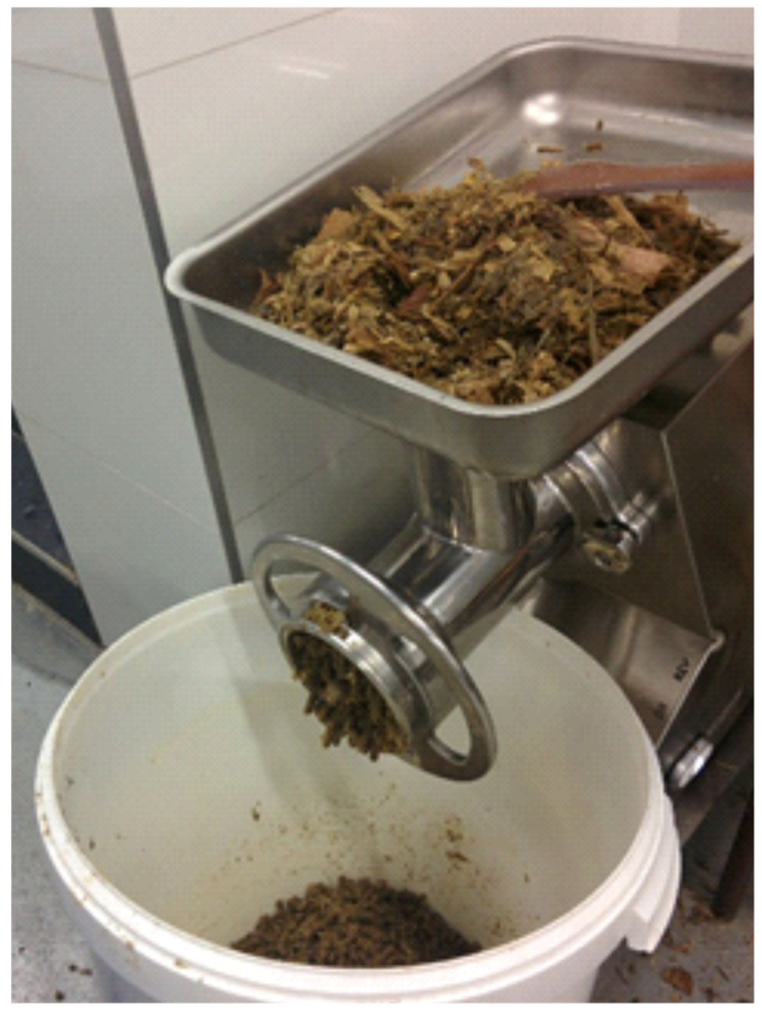 Processes 13 00126 g003