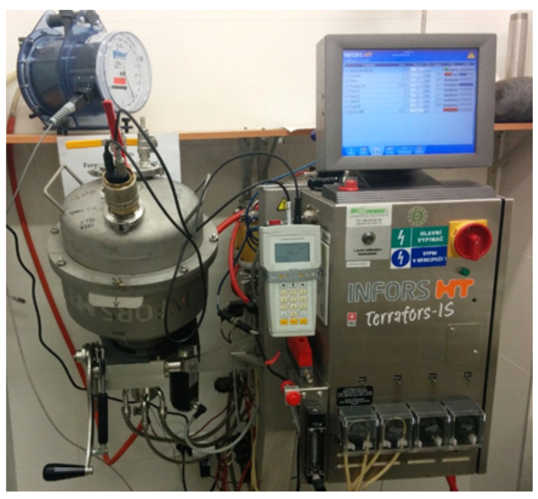 Processes 13 00126 g004