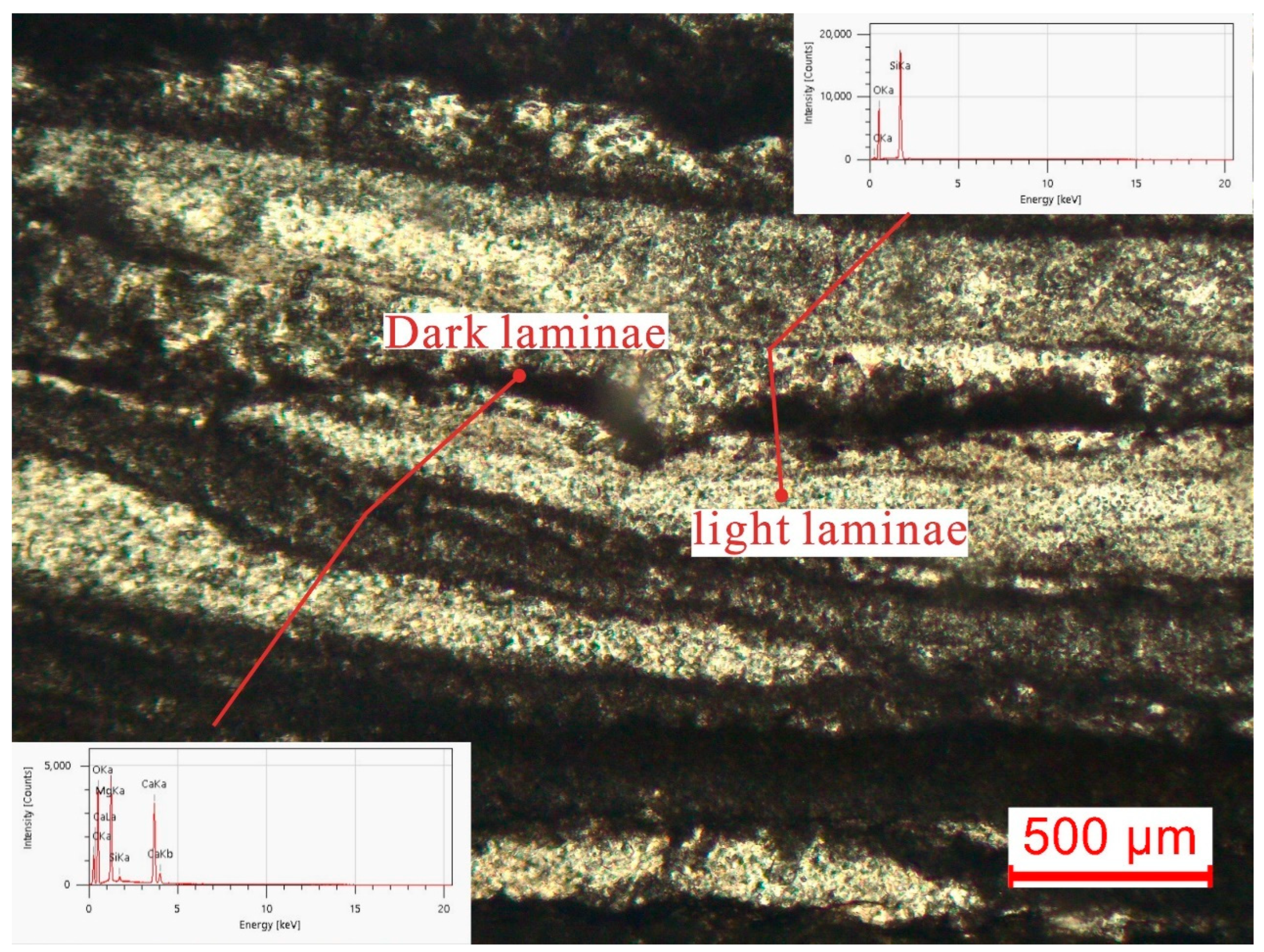 Processes 13 00129 g006