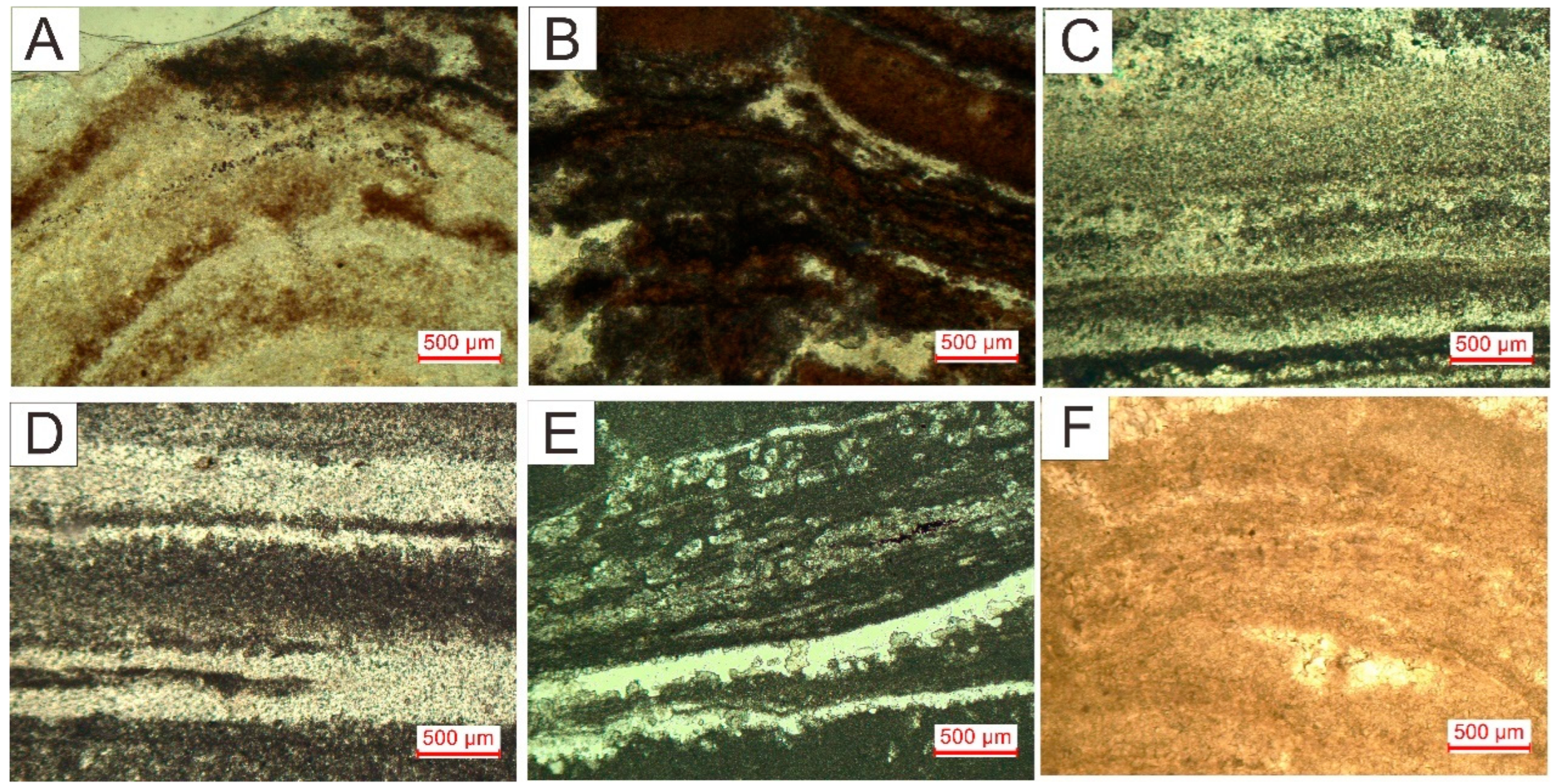 Processes 13 00129 g008