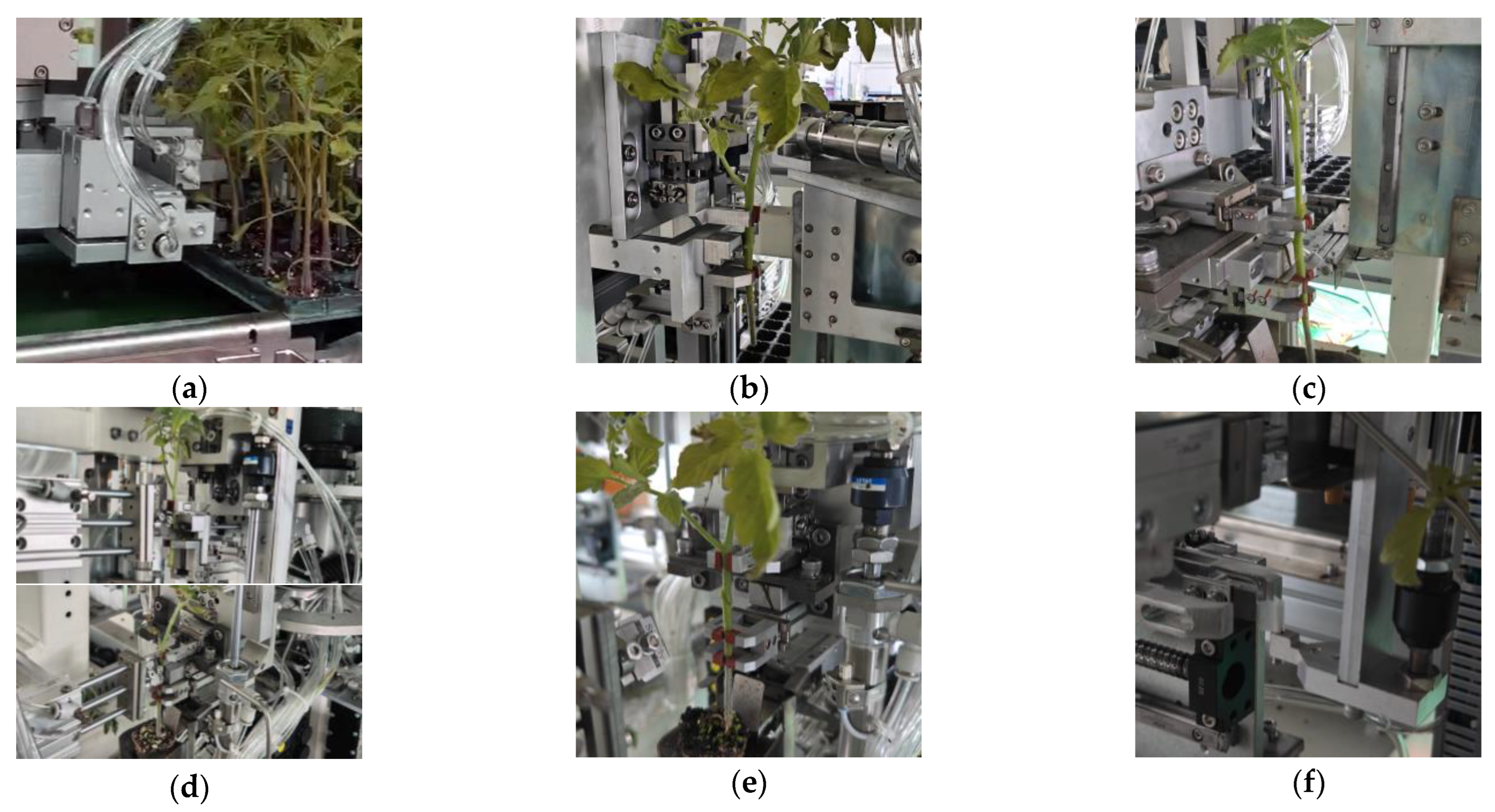 Processes 13 00131 g011a