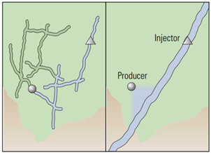 Processes 13 00144 i005