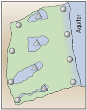 Processes 13 00144 i008