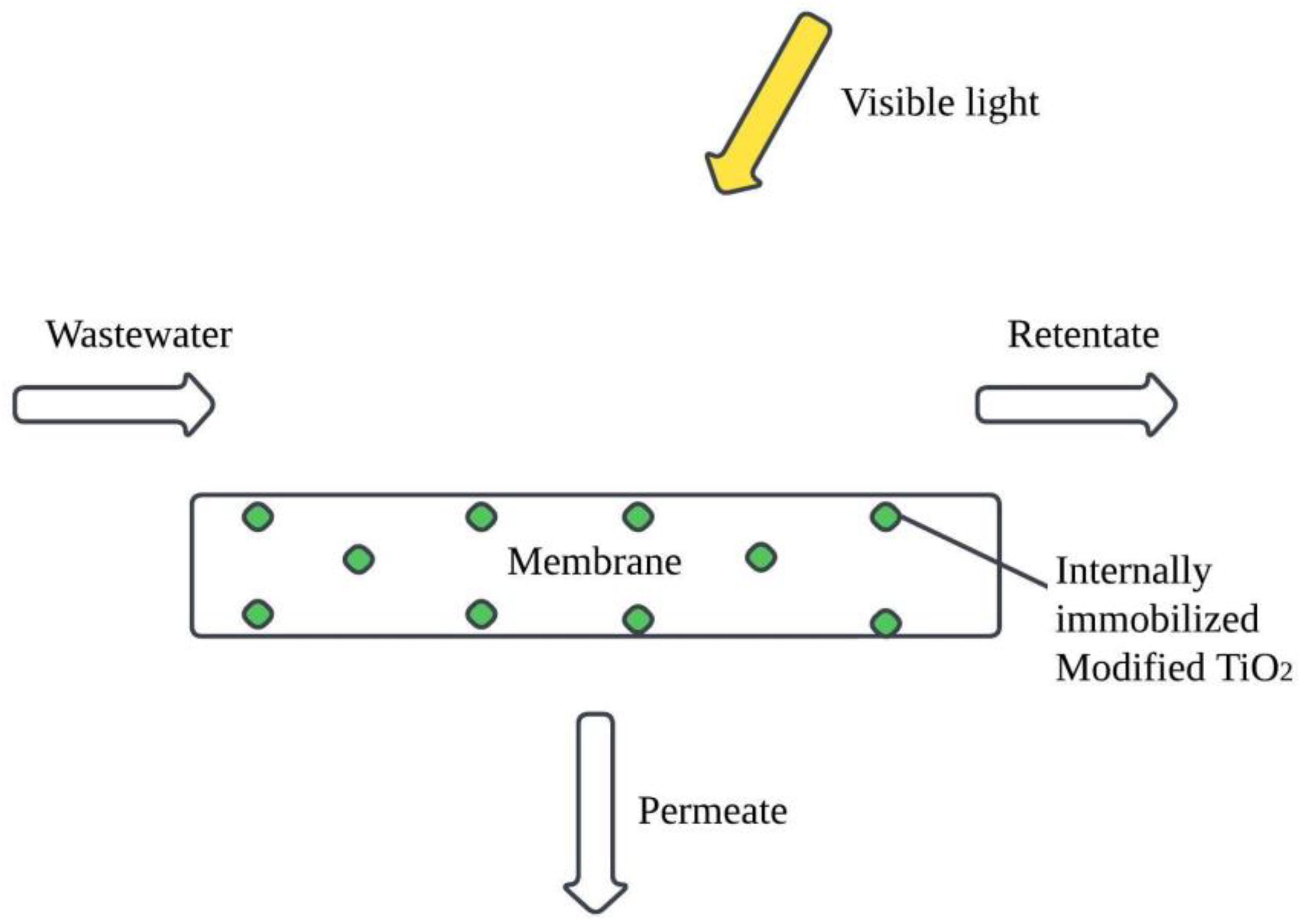 Processes 13 00163 g008