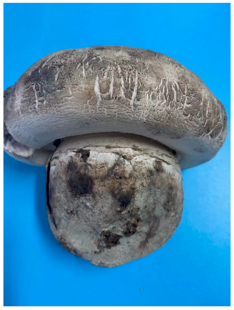 Processes 13 00168 g001