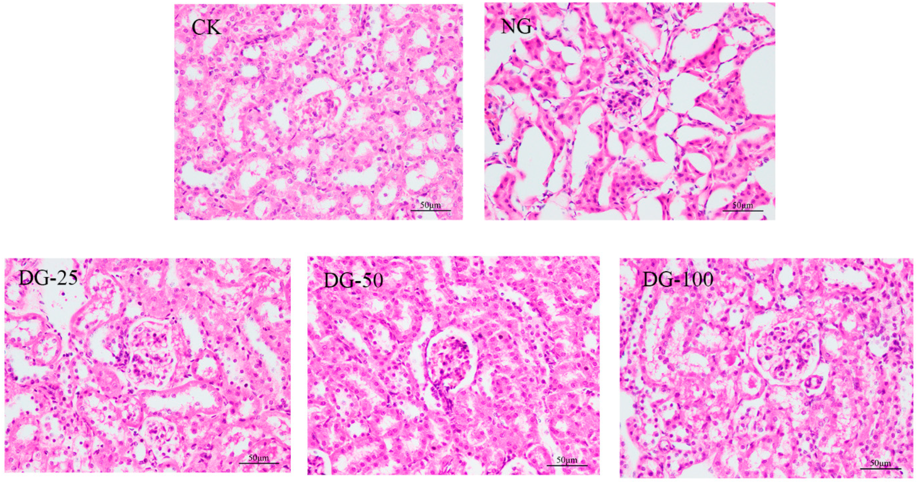 Processes 13 00168 g008