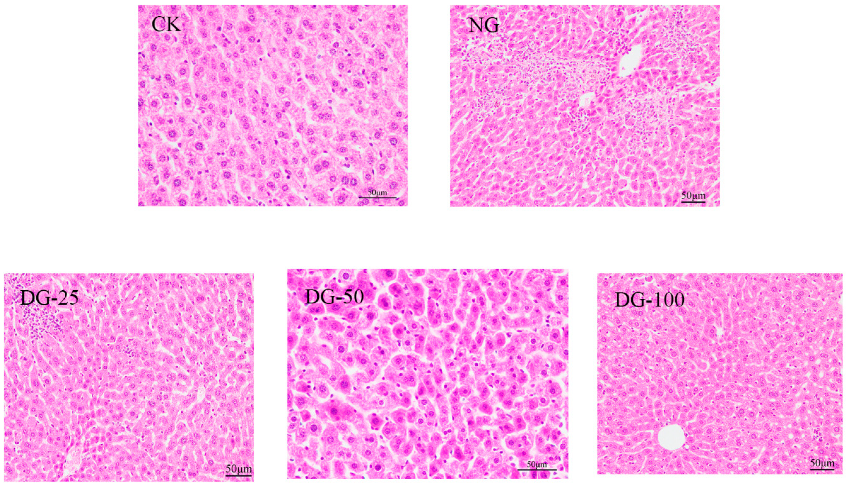 Processes 13 00168 g009