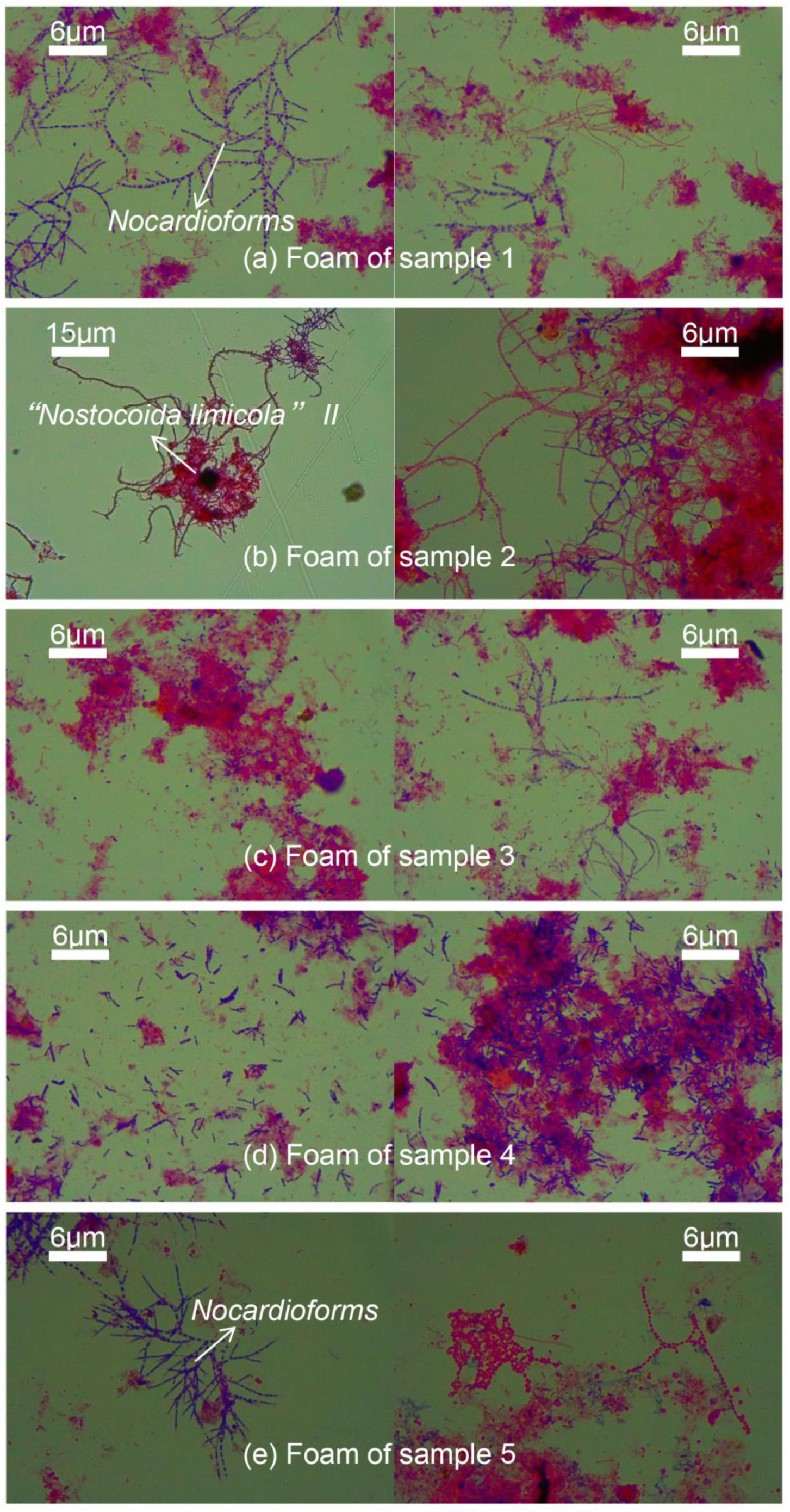 Processes 13 00169 g002