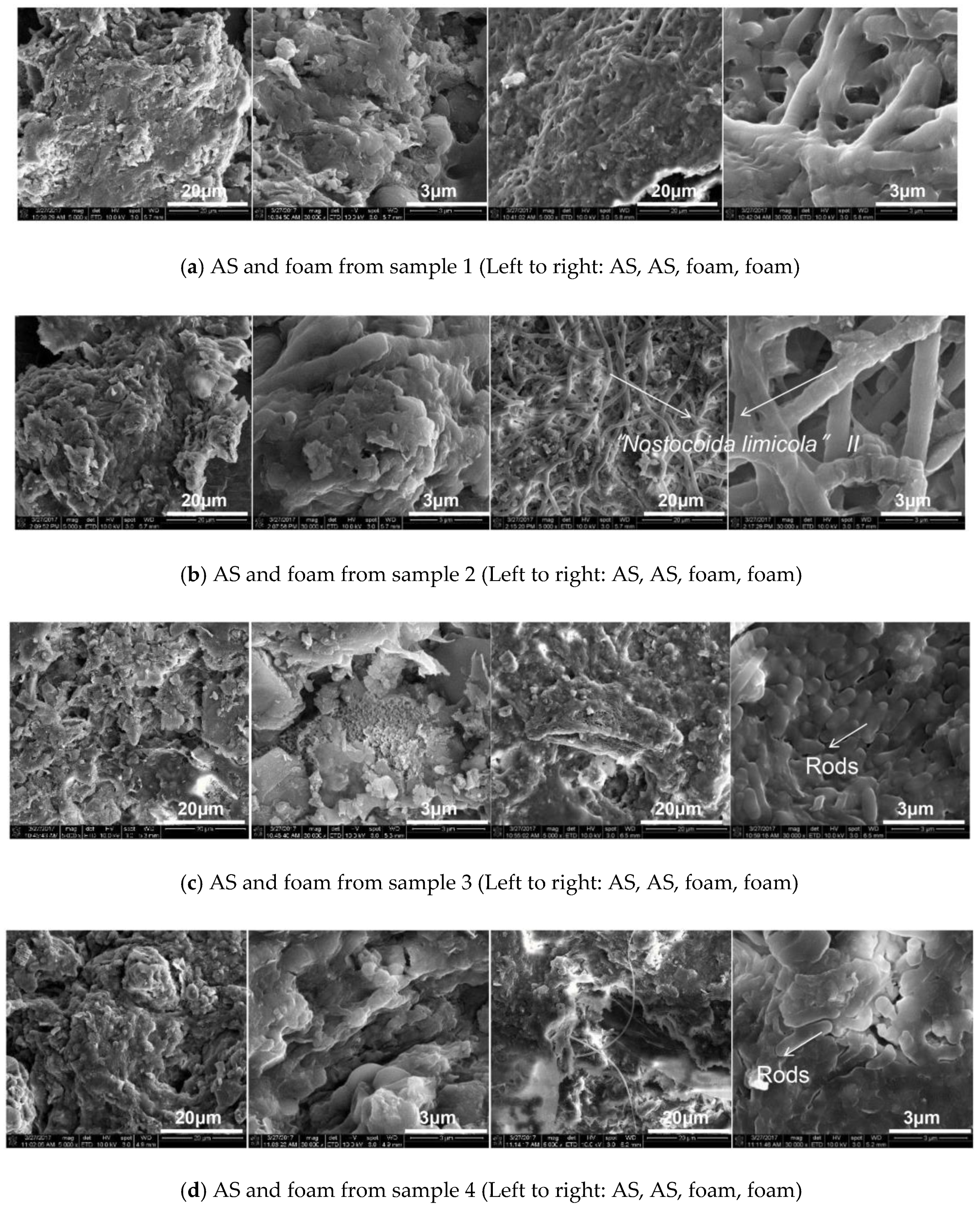 Processes 13 00169 g003a