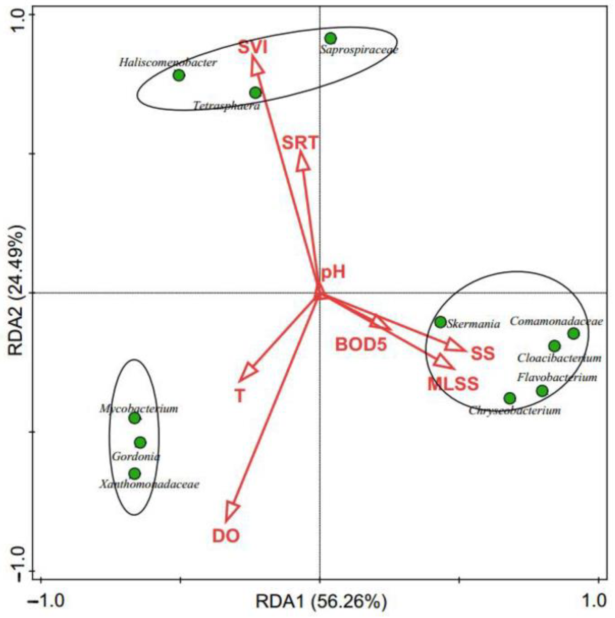 Processes 13 00169 g006