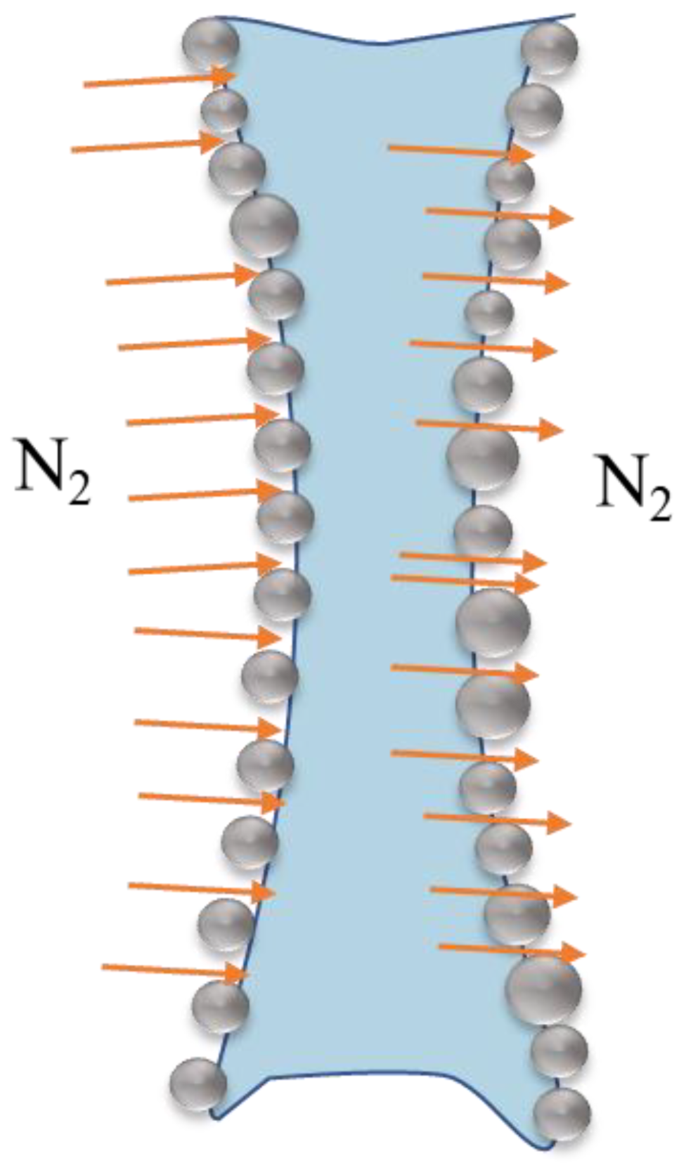Processes 13 00183 g013