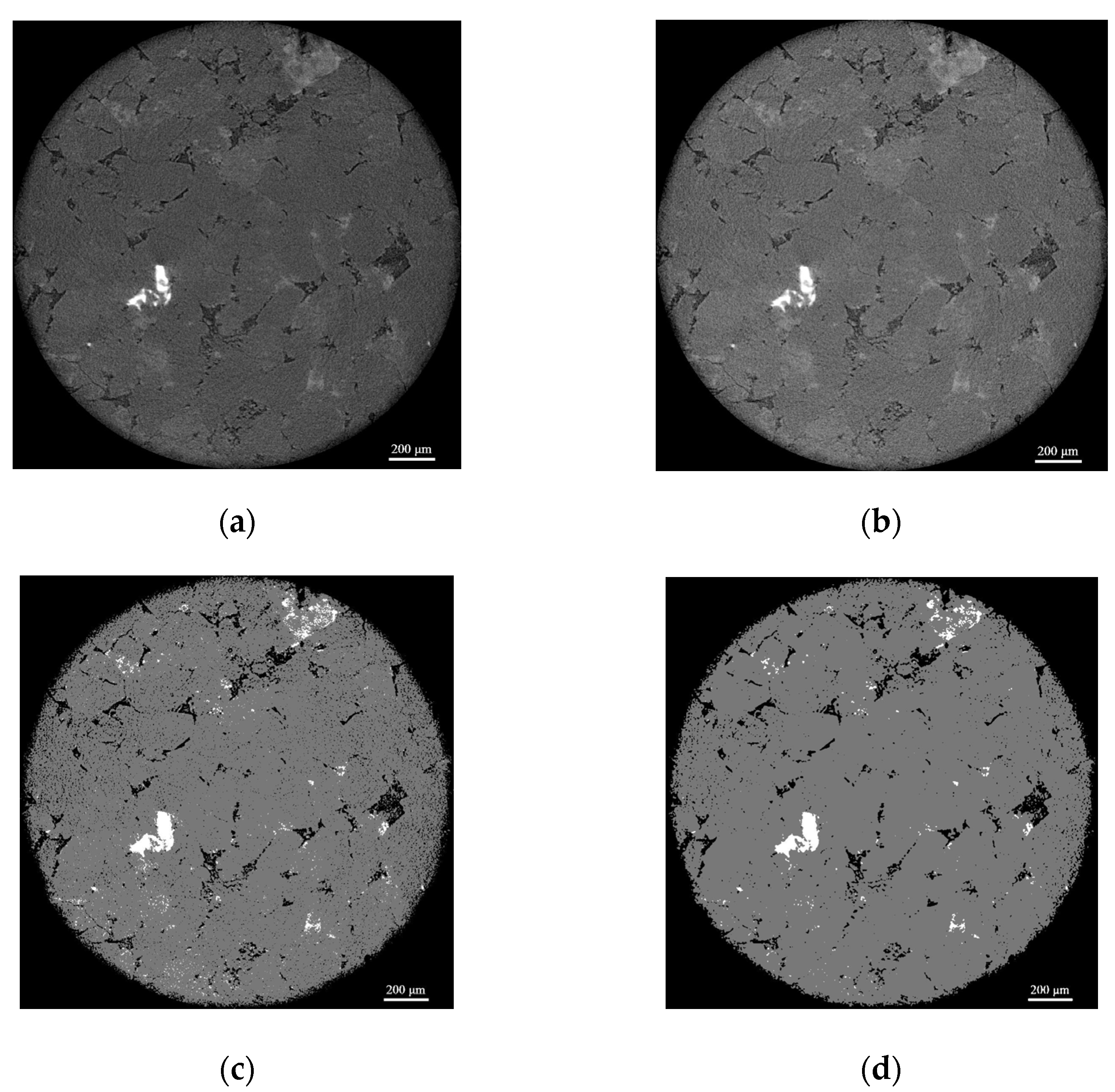 Processes 13 00203 g001