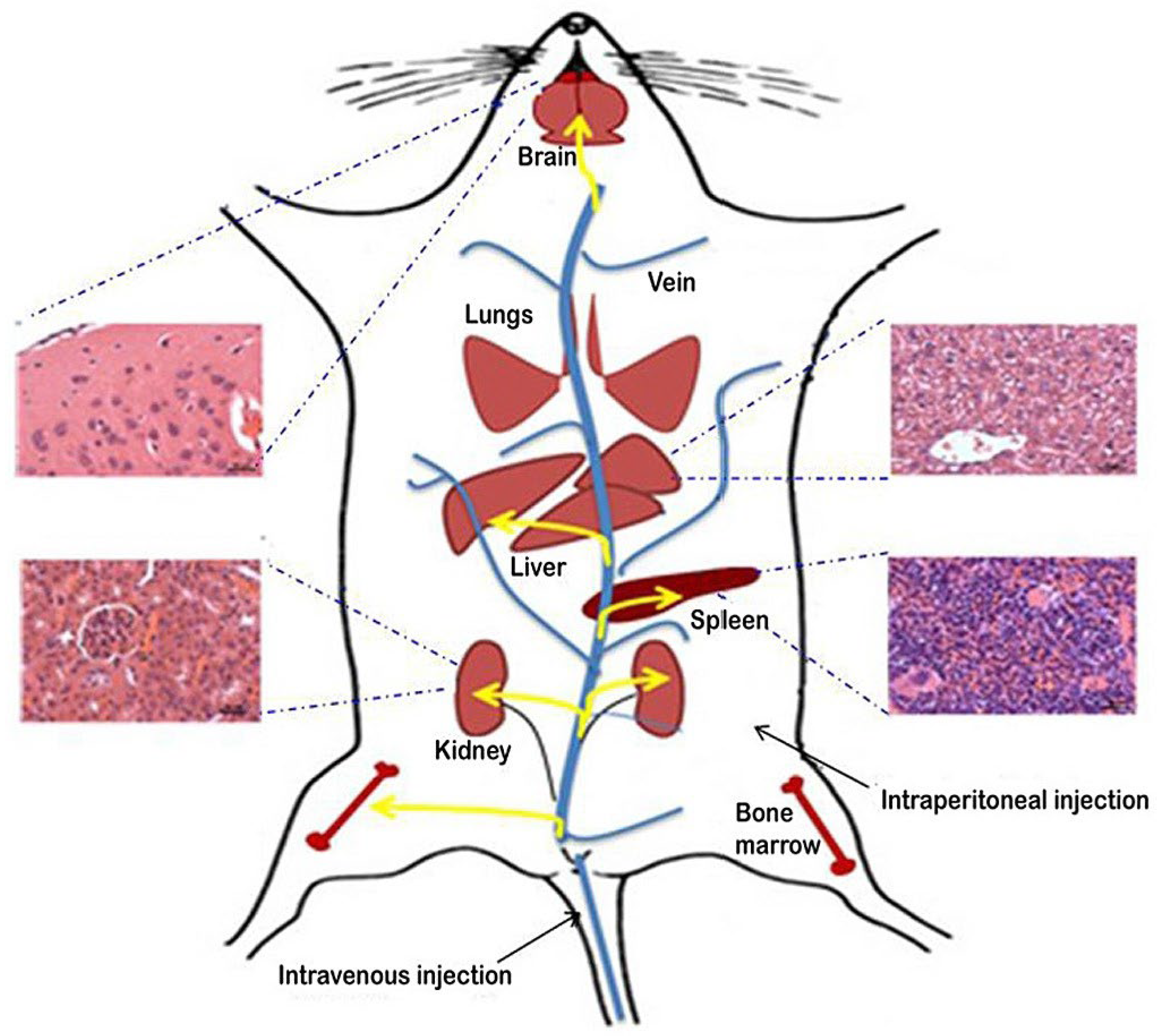 Processes 13 00209 g010