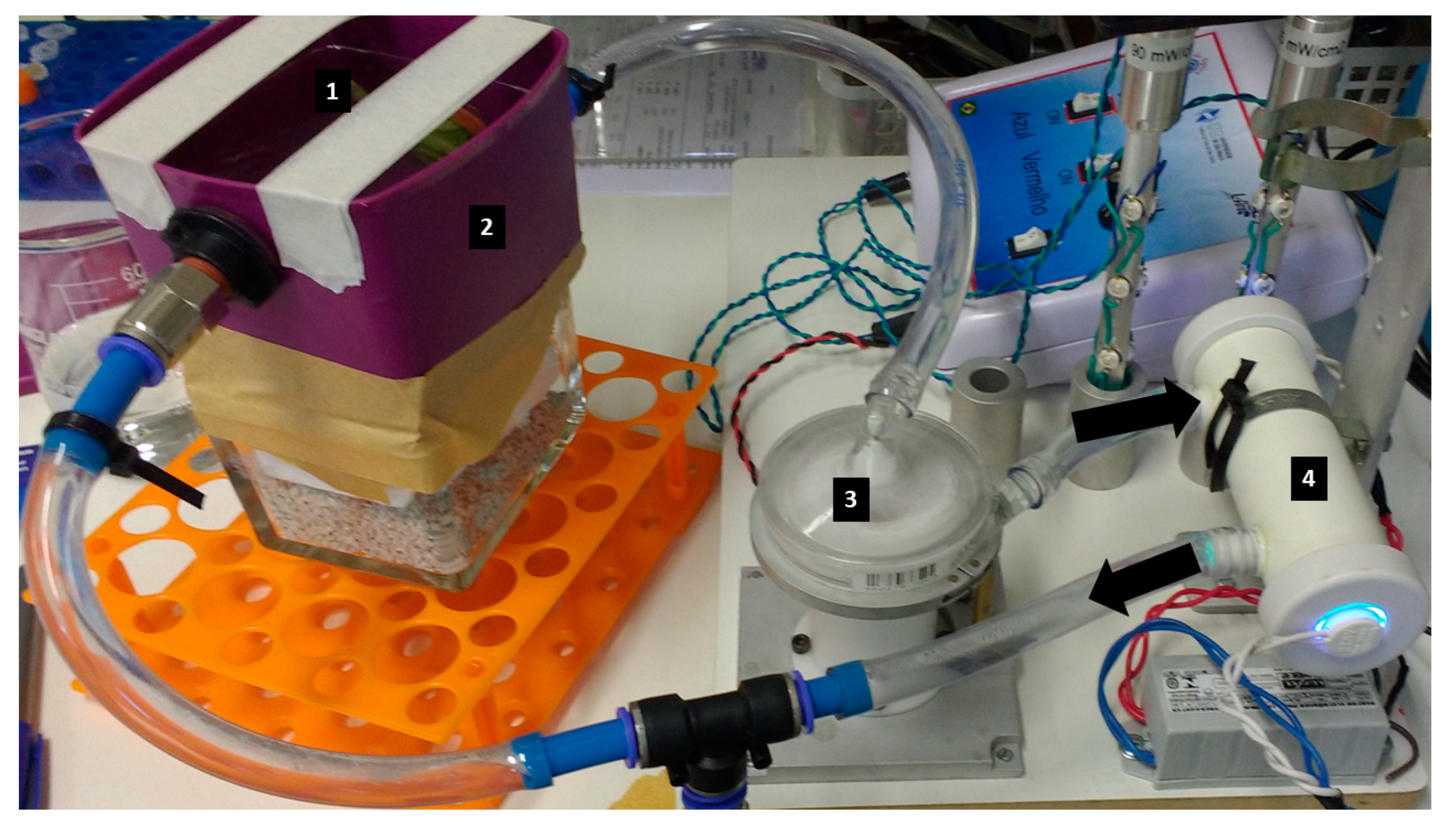Processes 13 00213 g001
