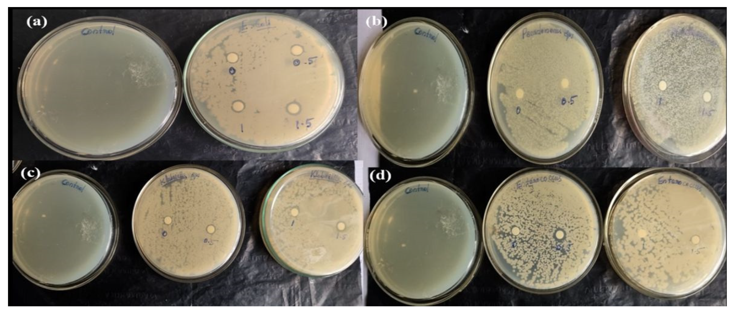 Processes 13 00229 g012