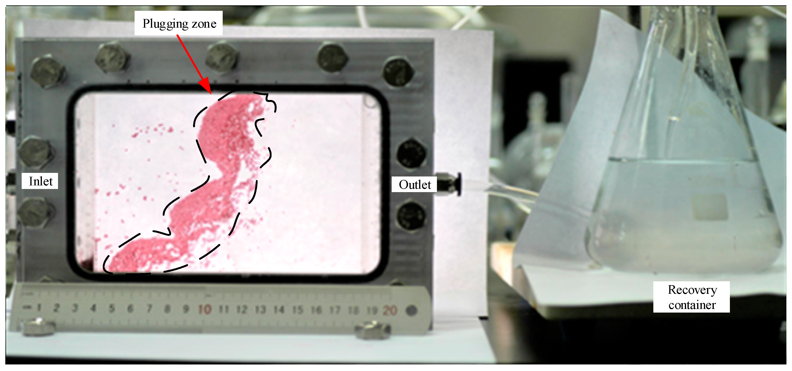 Processes 13 00236 g010