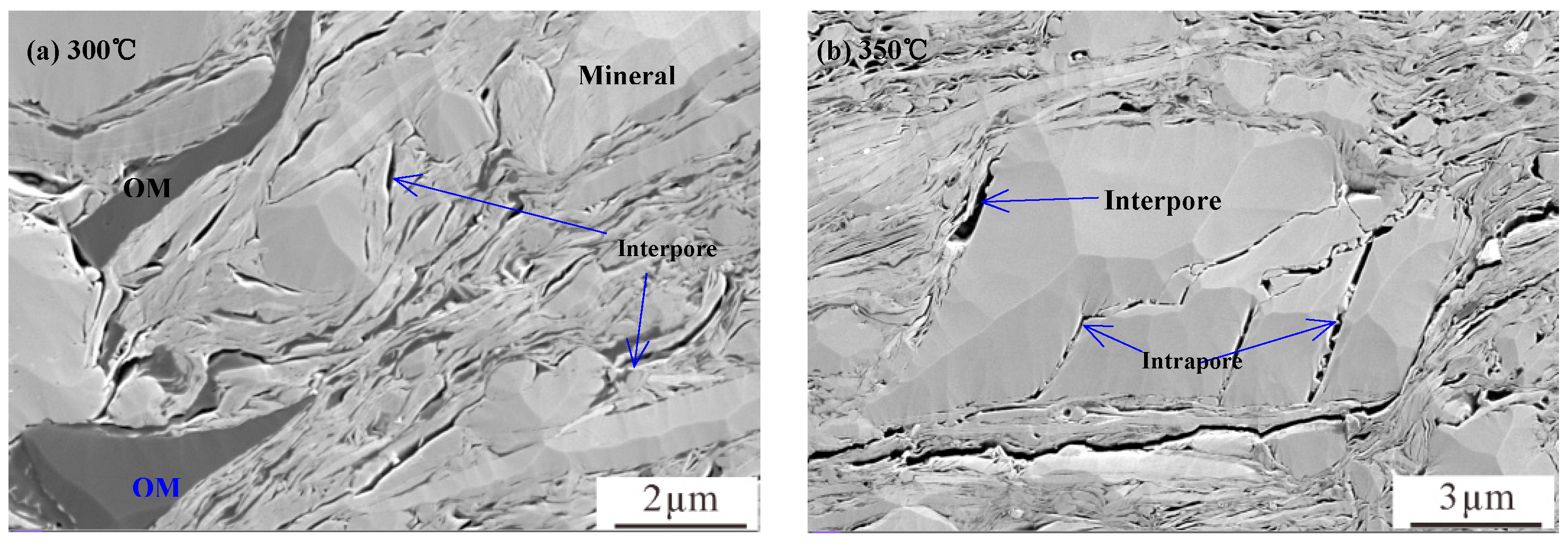 Processes 13 00246 g001a