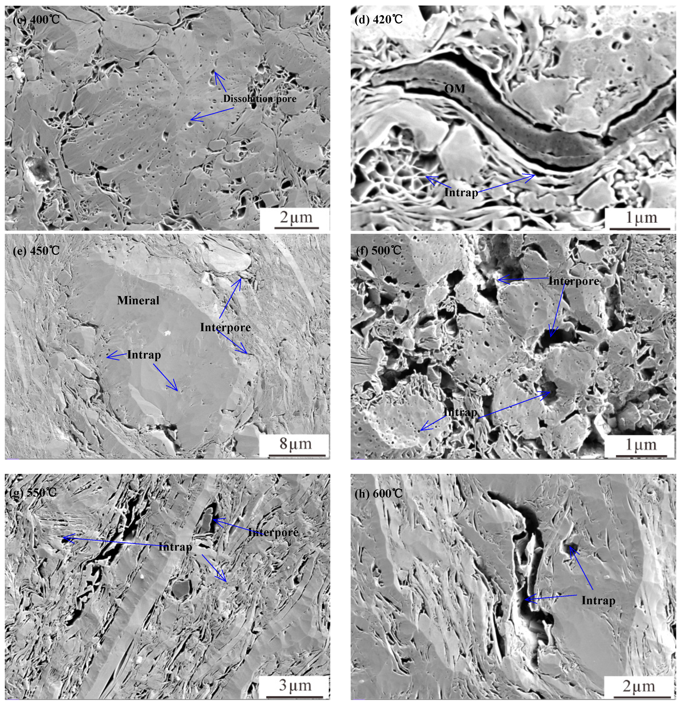 Processes 13 00246 g001b