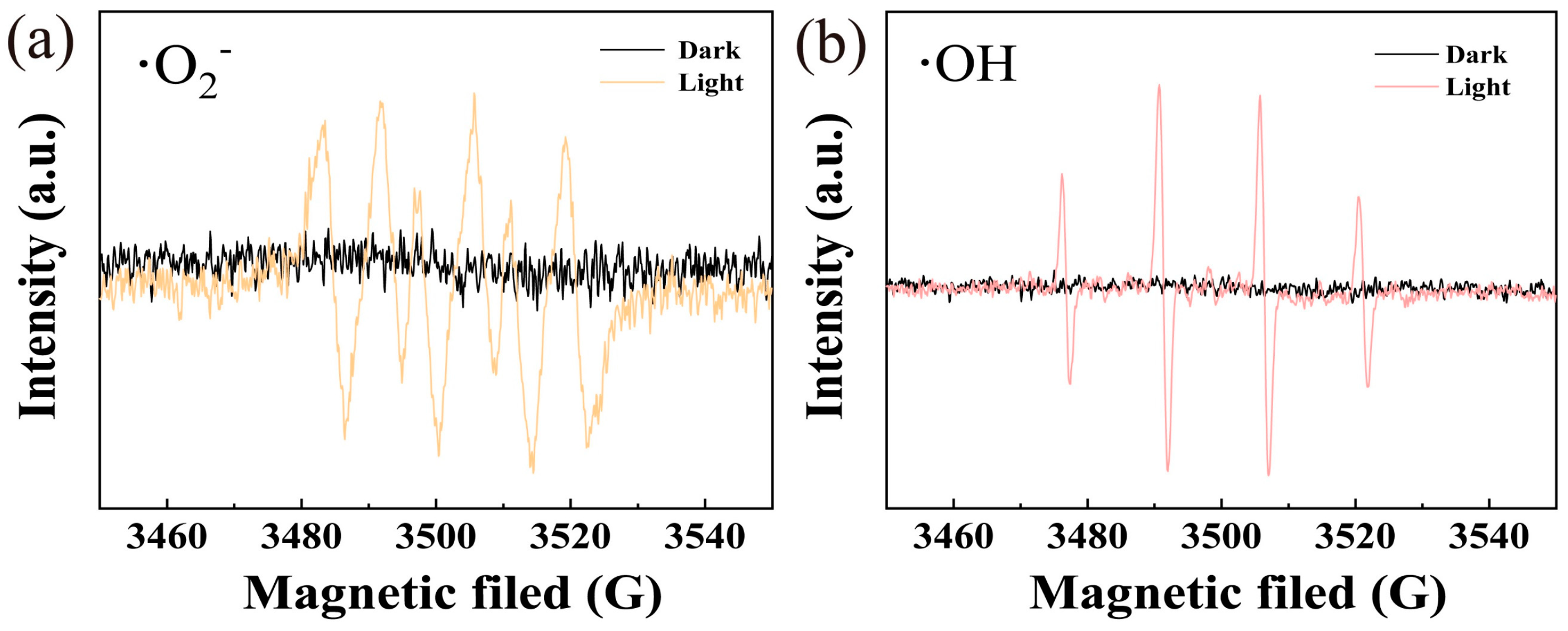Processes 13 00253 g010