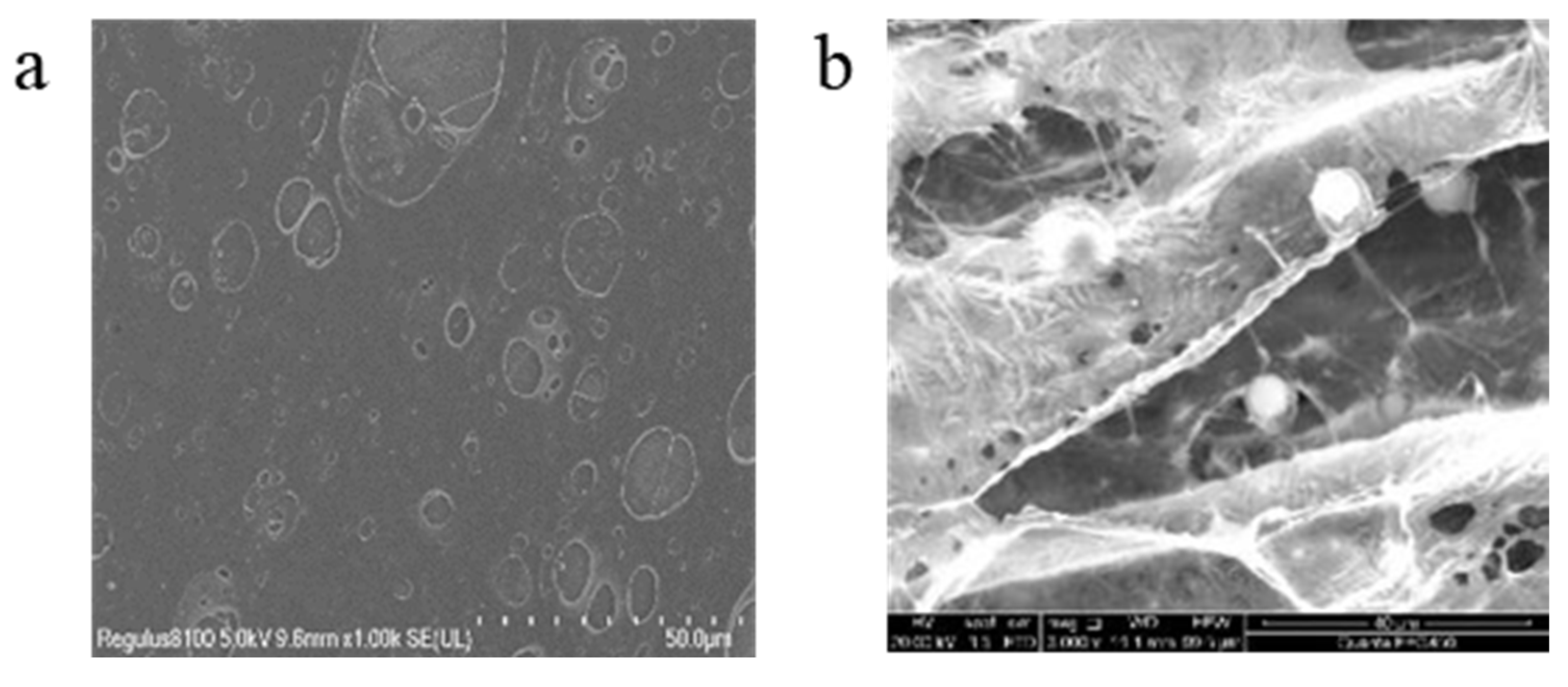 Processes 13 00289 g008