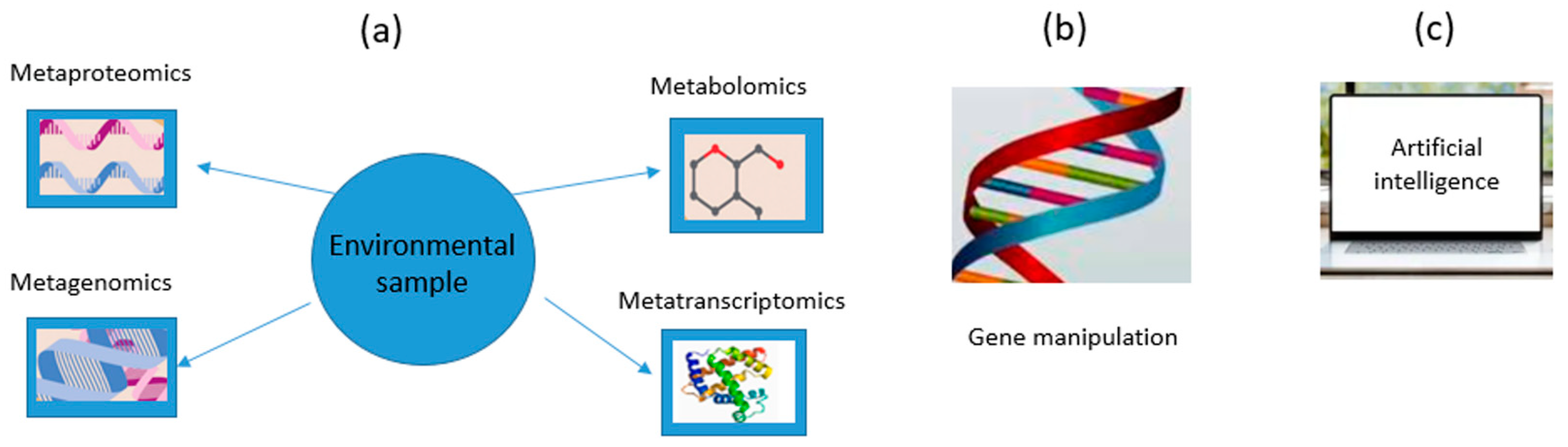 Processes 13 00294 g004 Processes 13 00294 g004