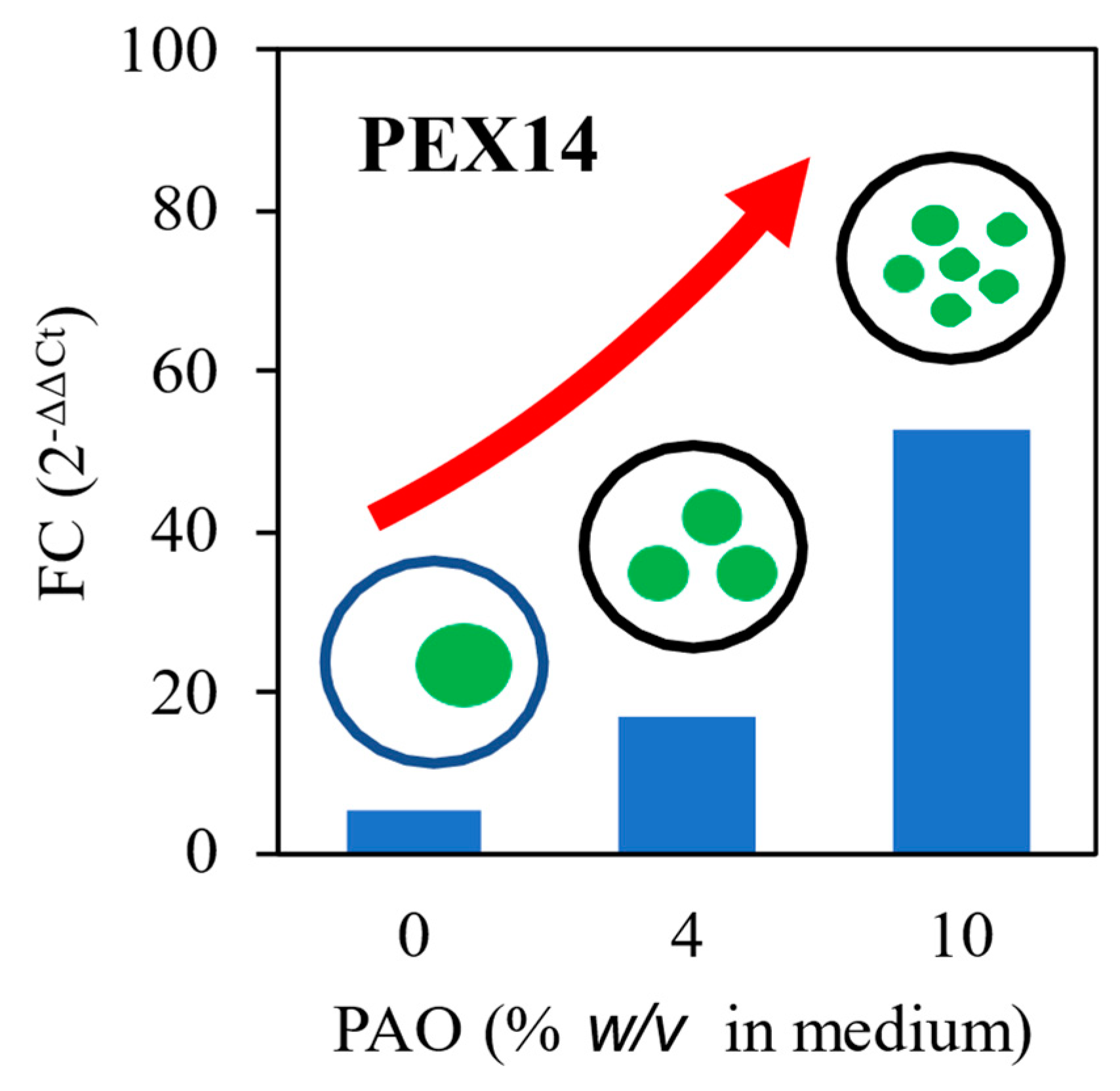Processes 13 00311 g006 Processes 13 00311 g006