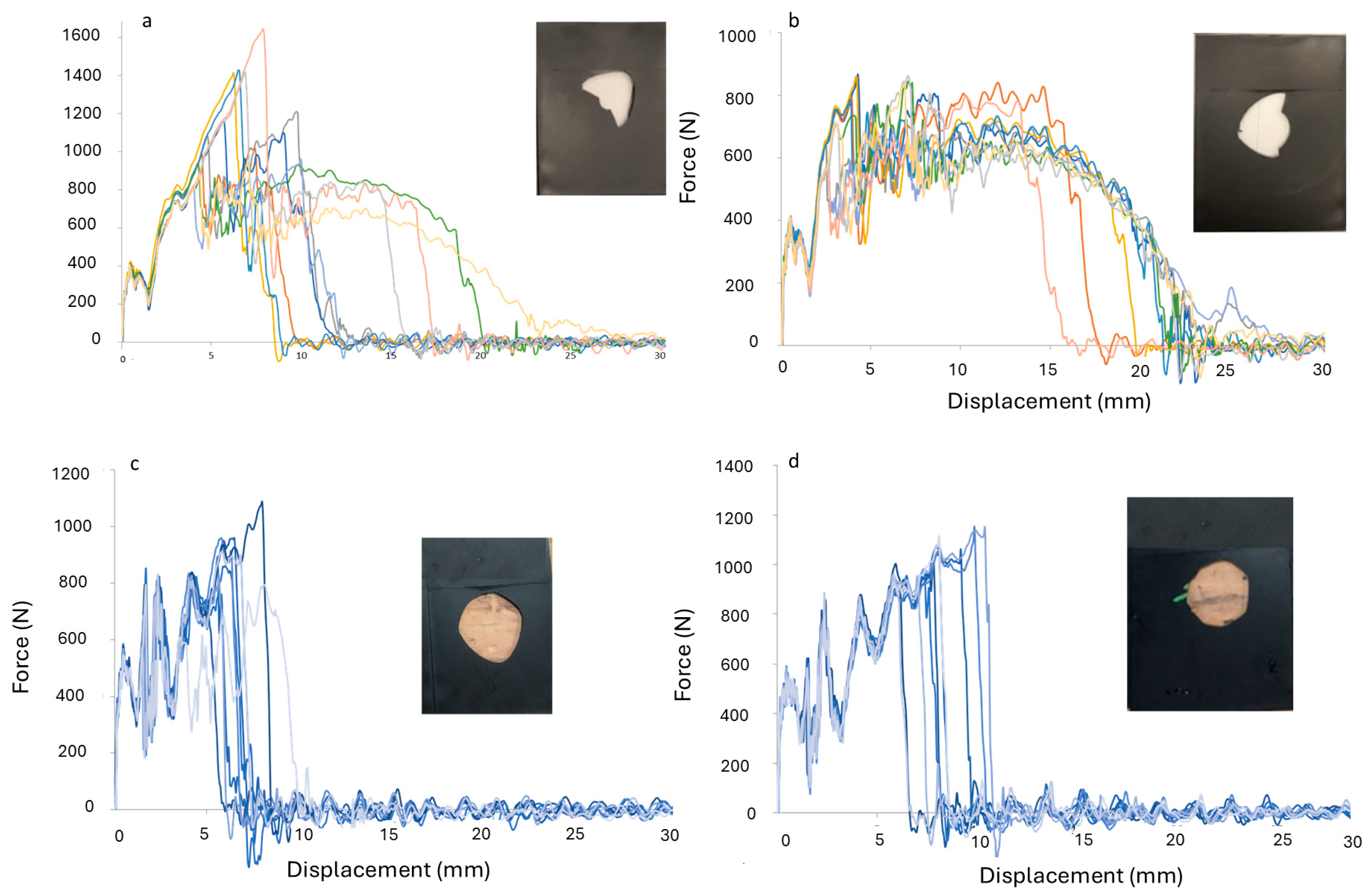 Processes 13 00315 g004
