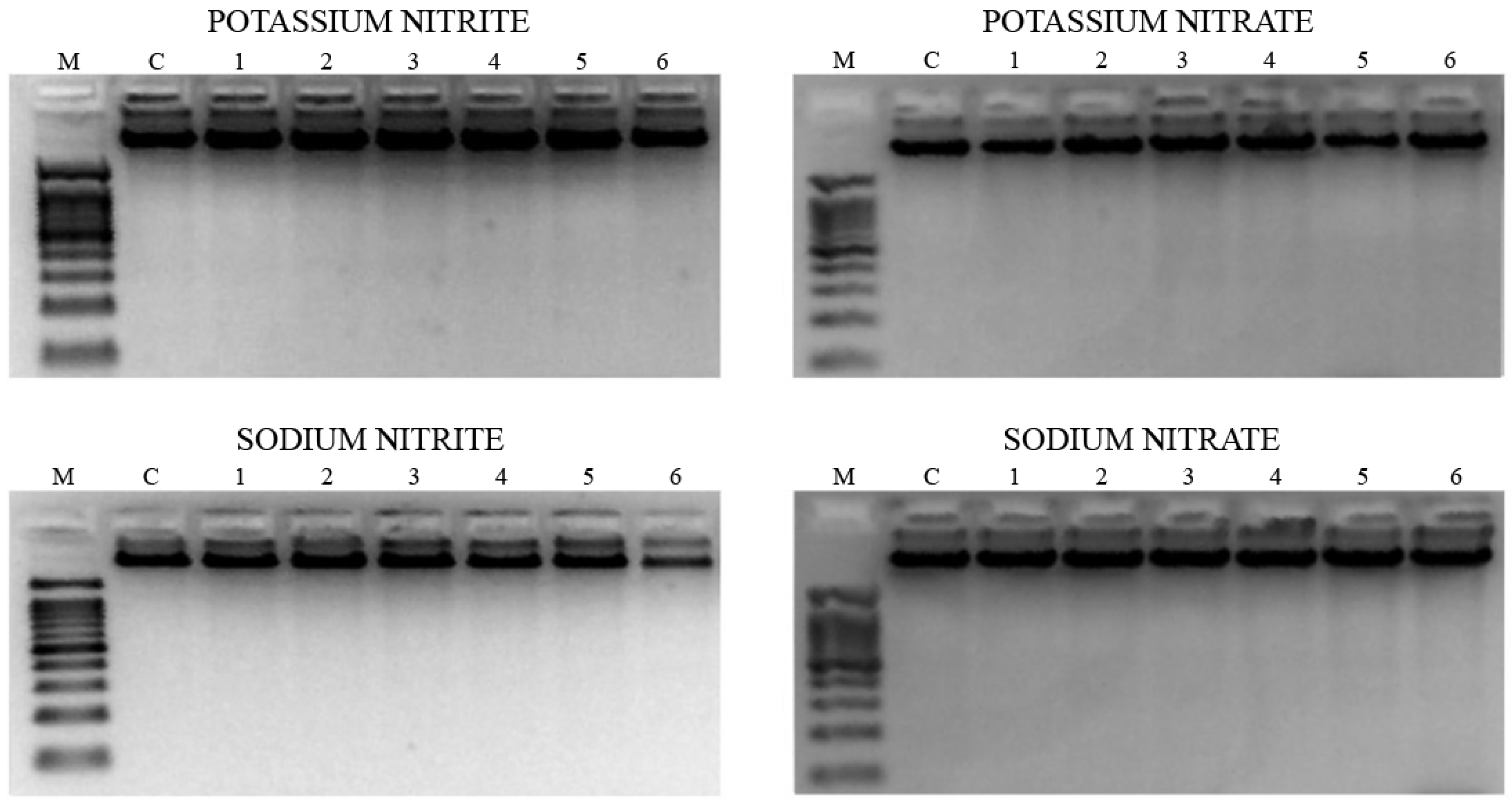 Processes 13 00325 g005