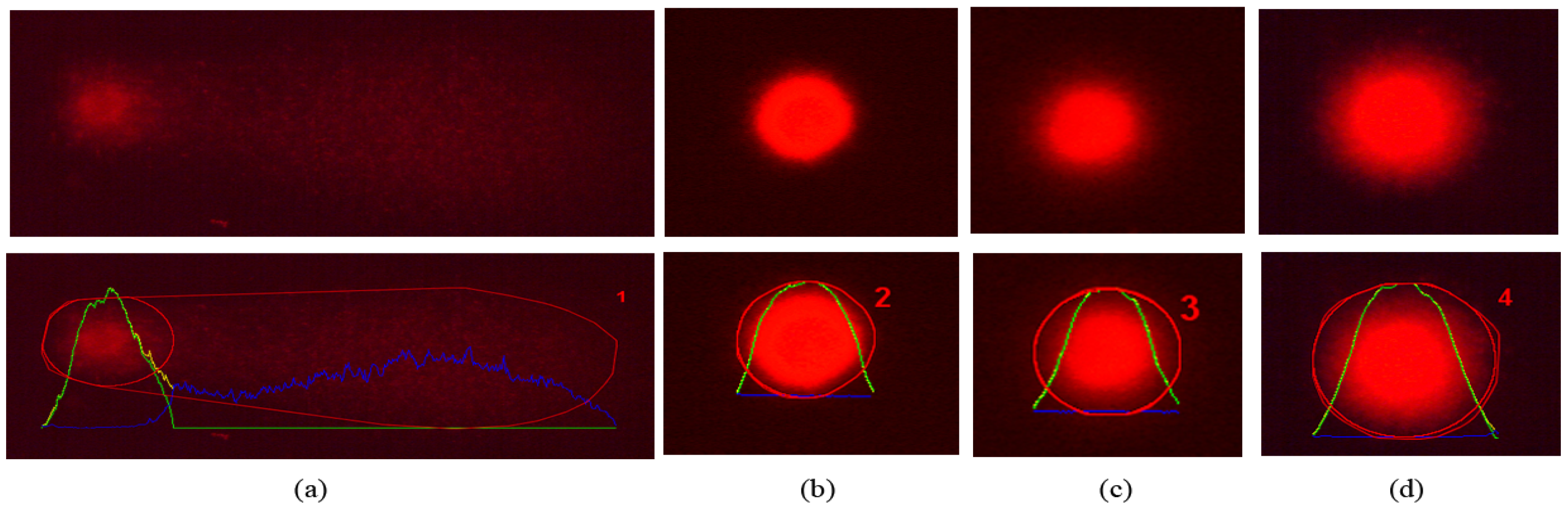 Processes 13 00325 g006