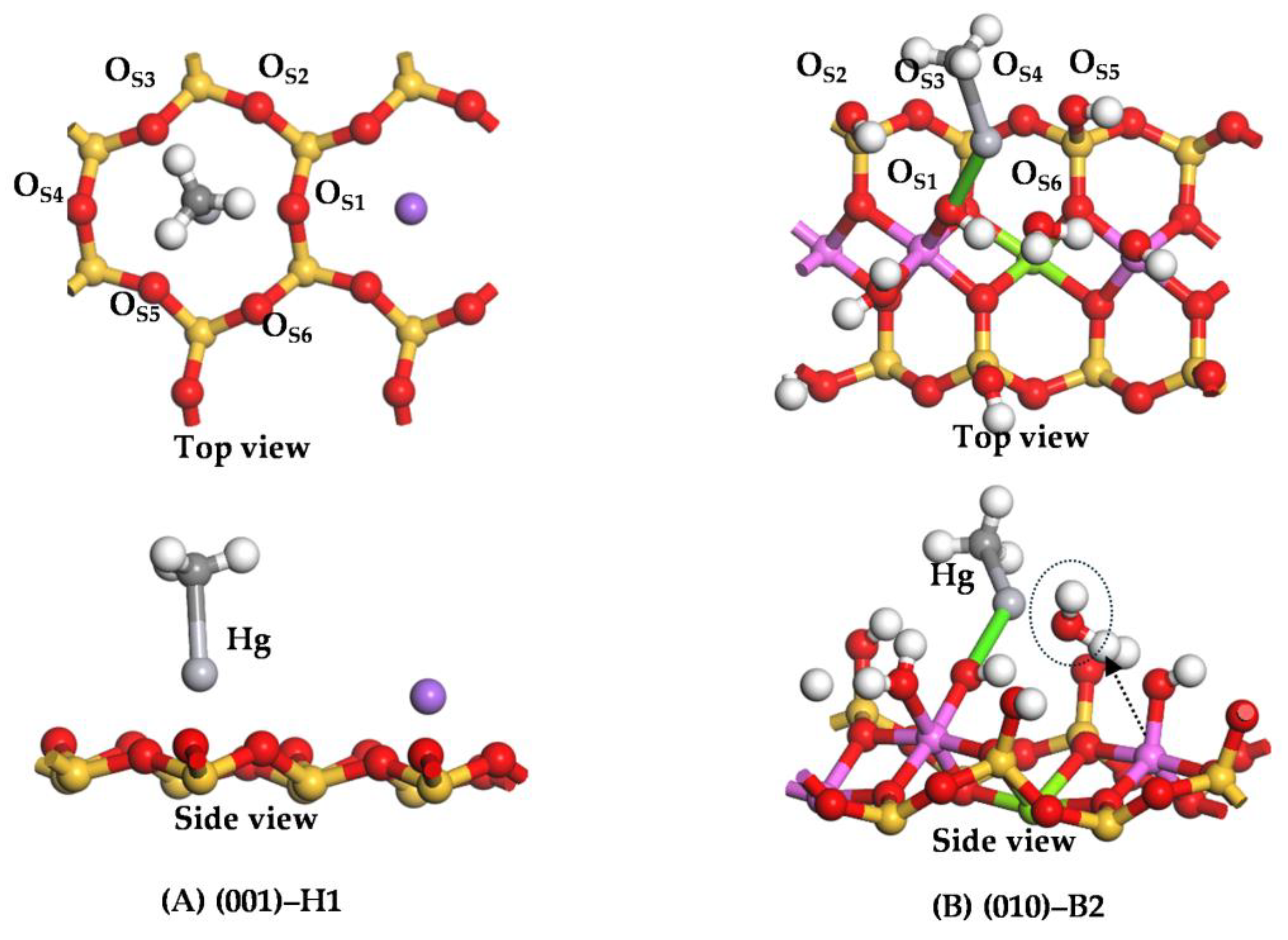 Processes 13 00330 g004