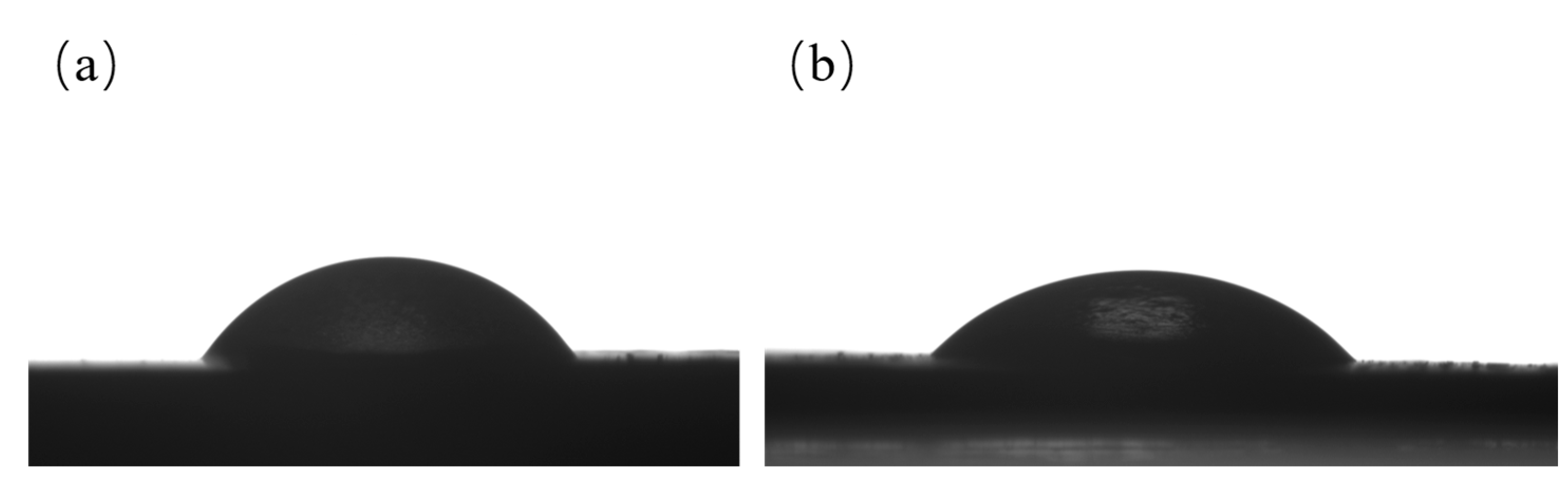 Processes 13 00339 g005