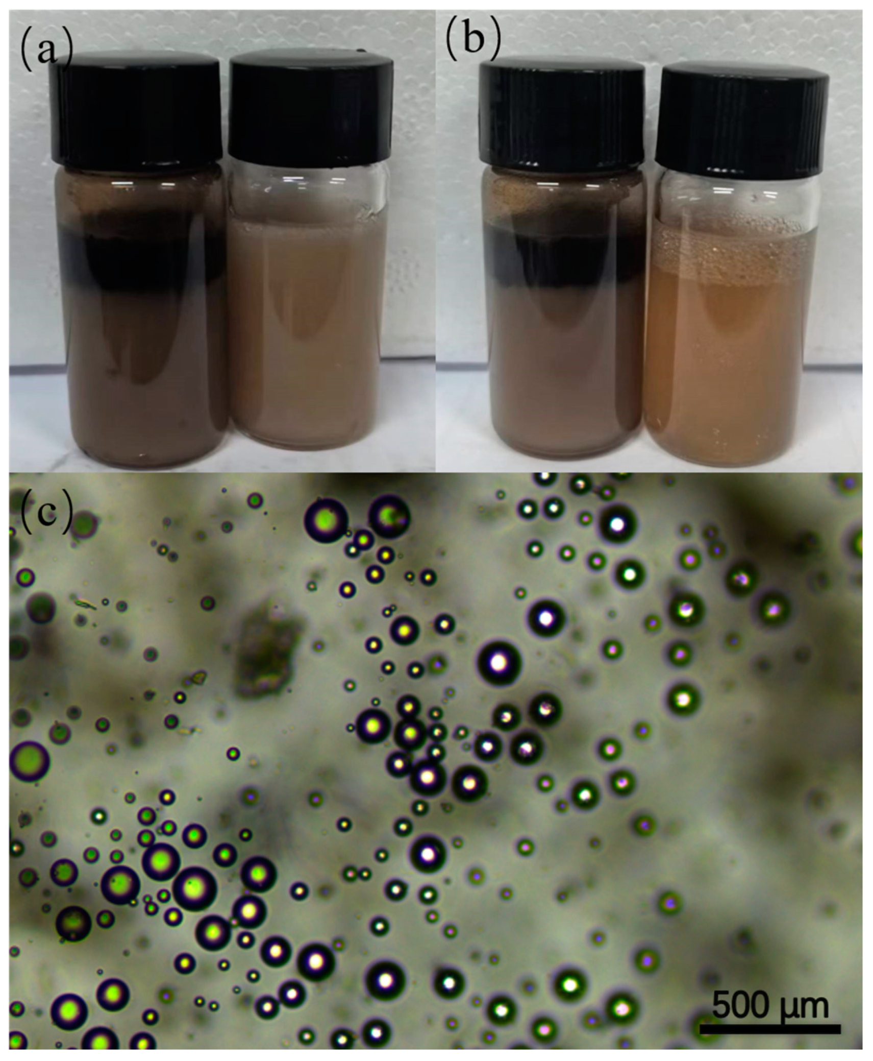 Processes 13 00339 g006