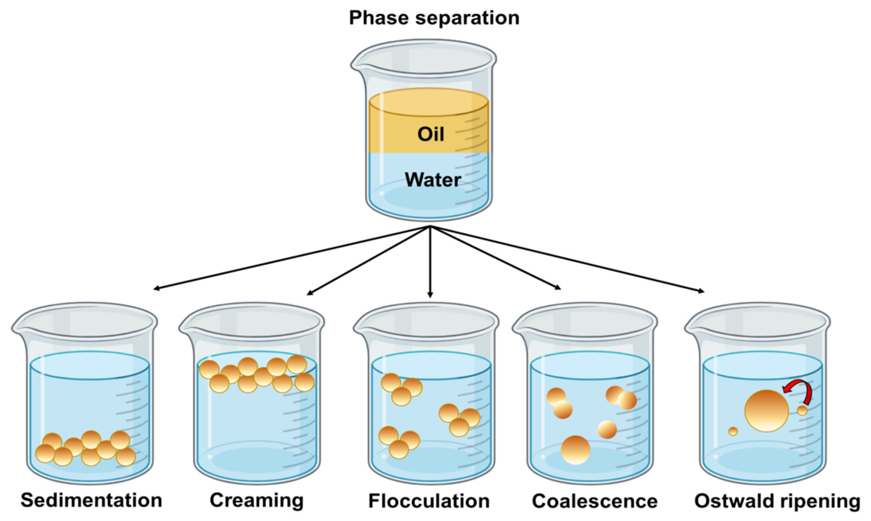 Processes 13 00342 g005