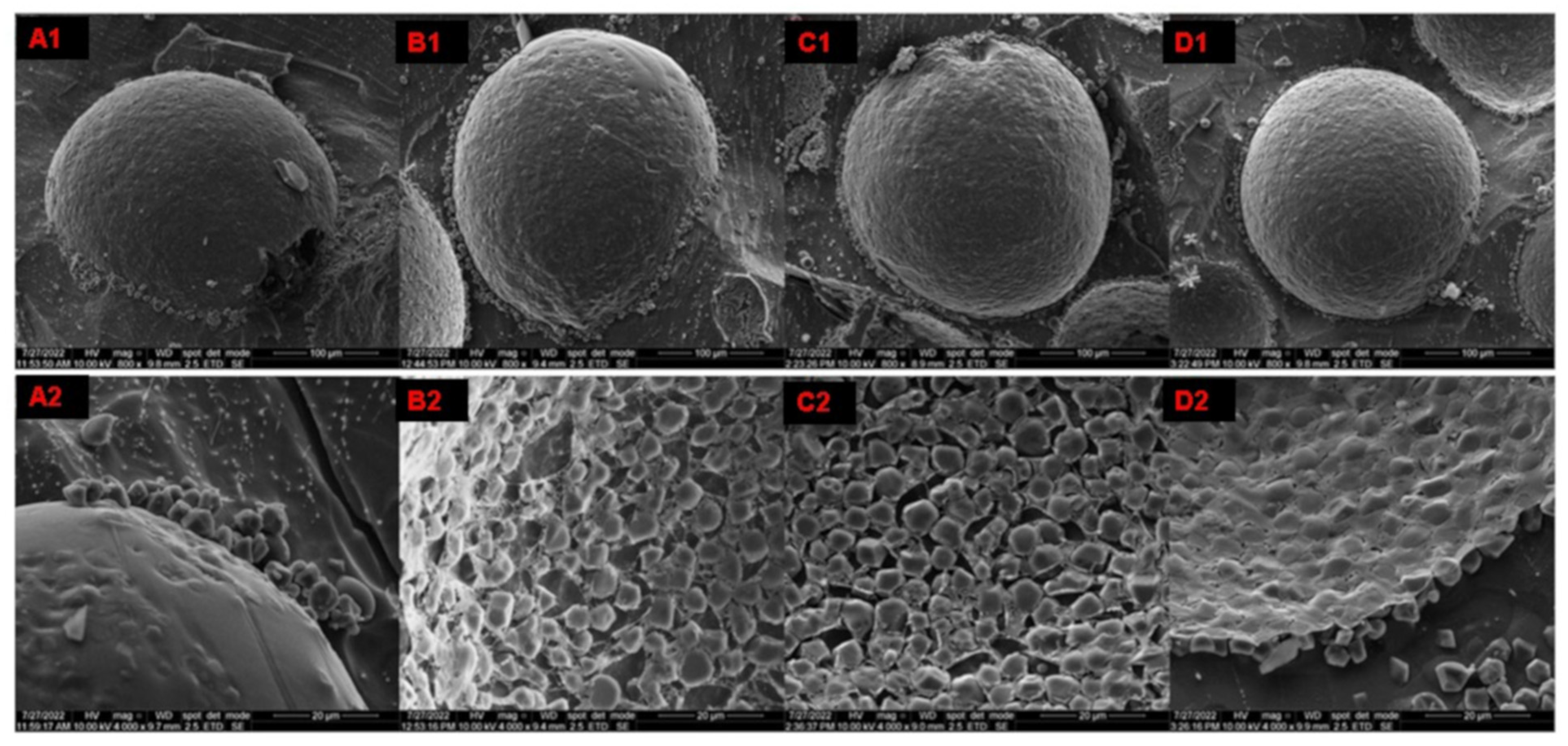 Processes 13 00342 g014