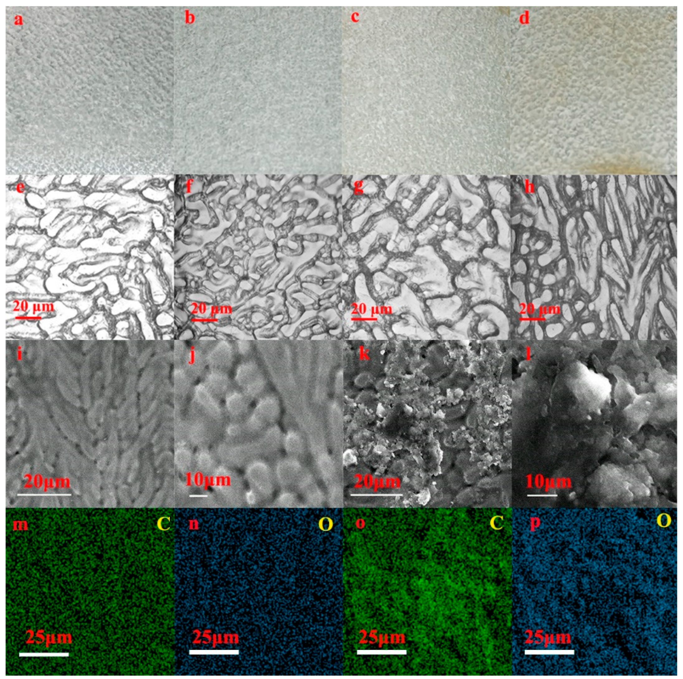 Processes 13 00351 g004