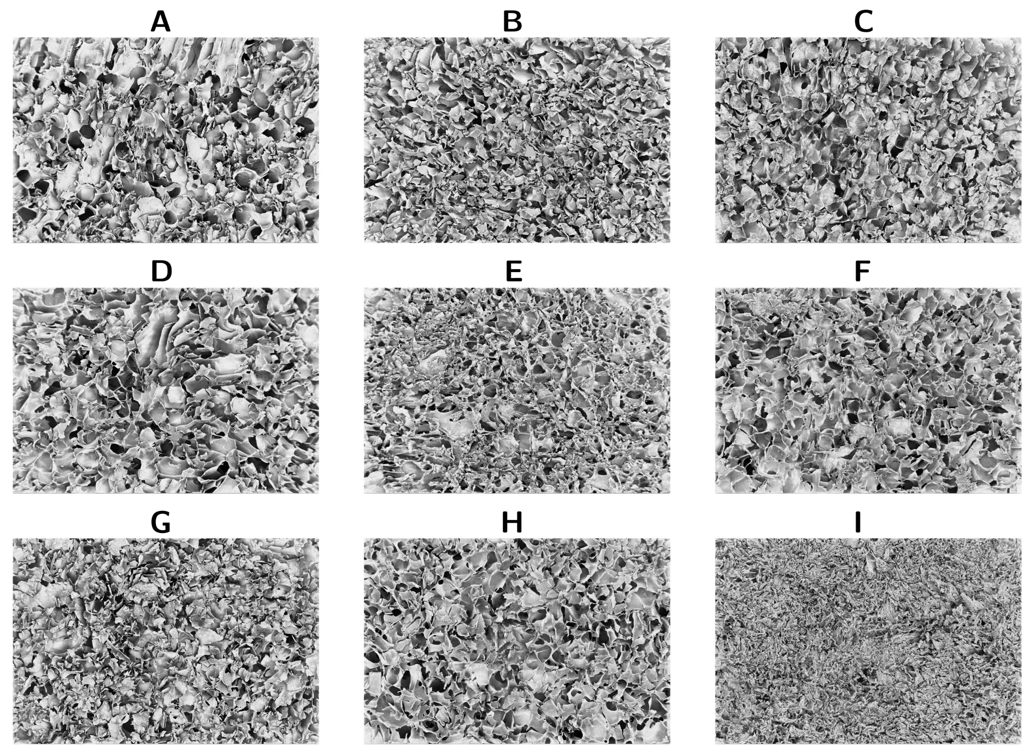 Processes 13 00365 g003 Processes 13 00365 g003