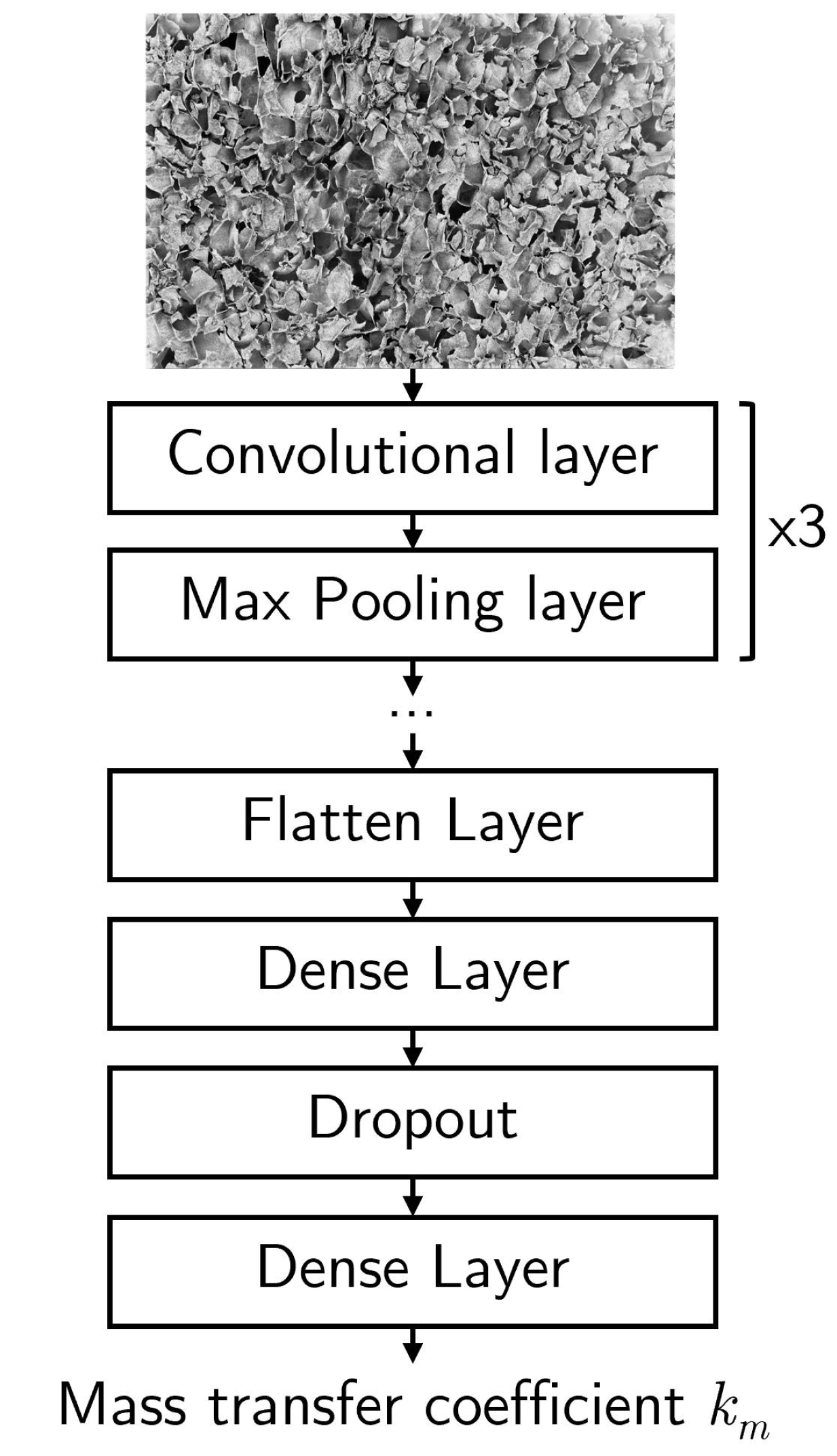 Processes 13 00365 g004 Processes 13 00365 g004