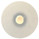 Processes 13 00374 i013