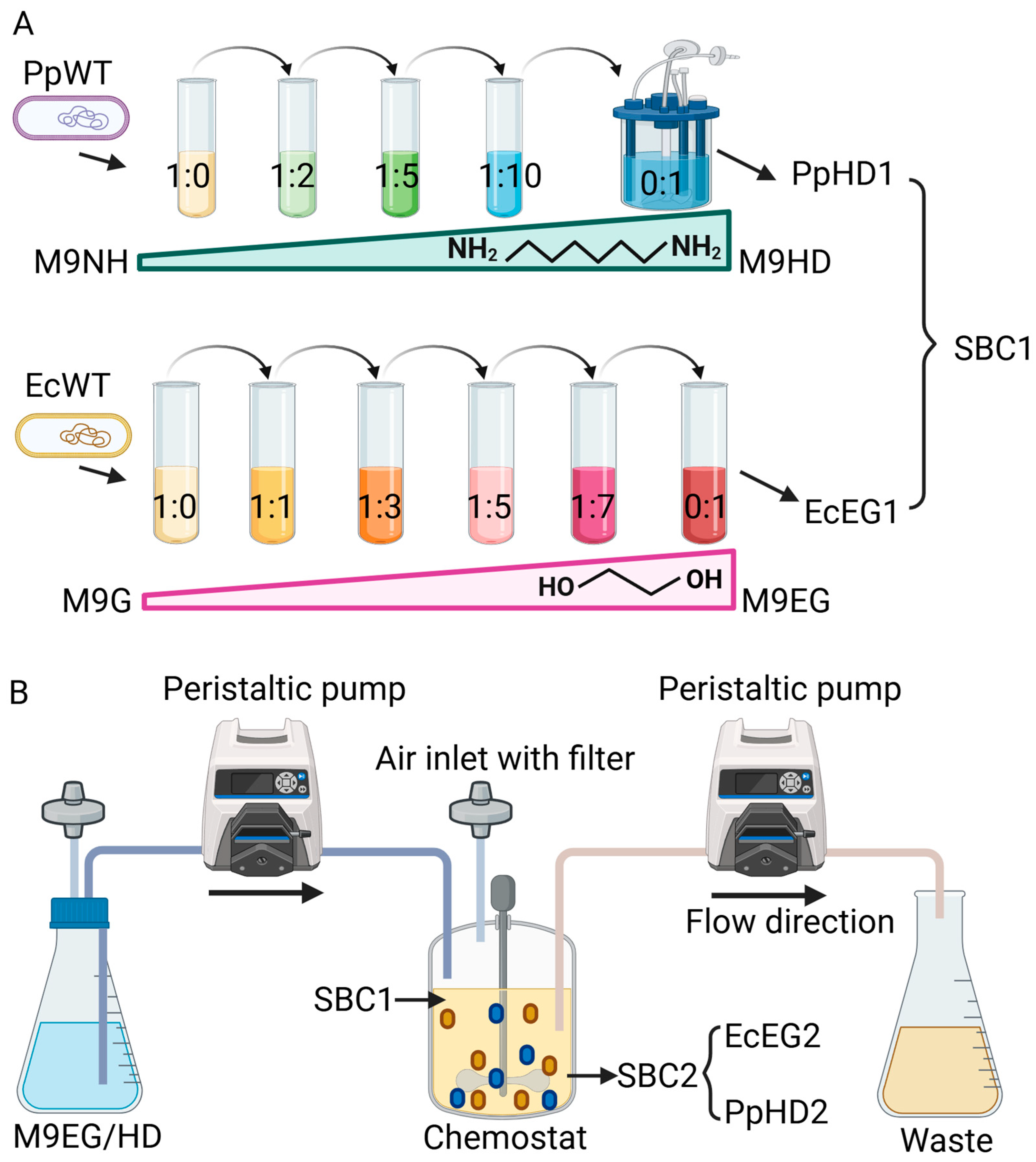 Processes 13 00375 g001