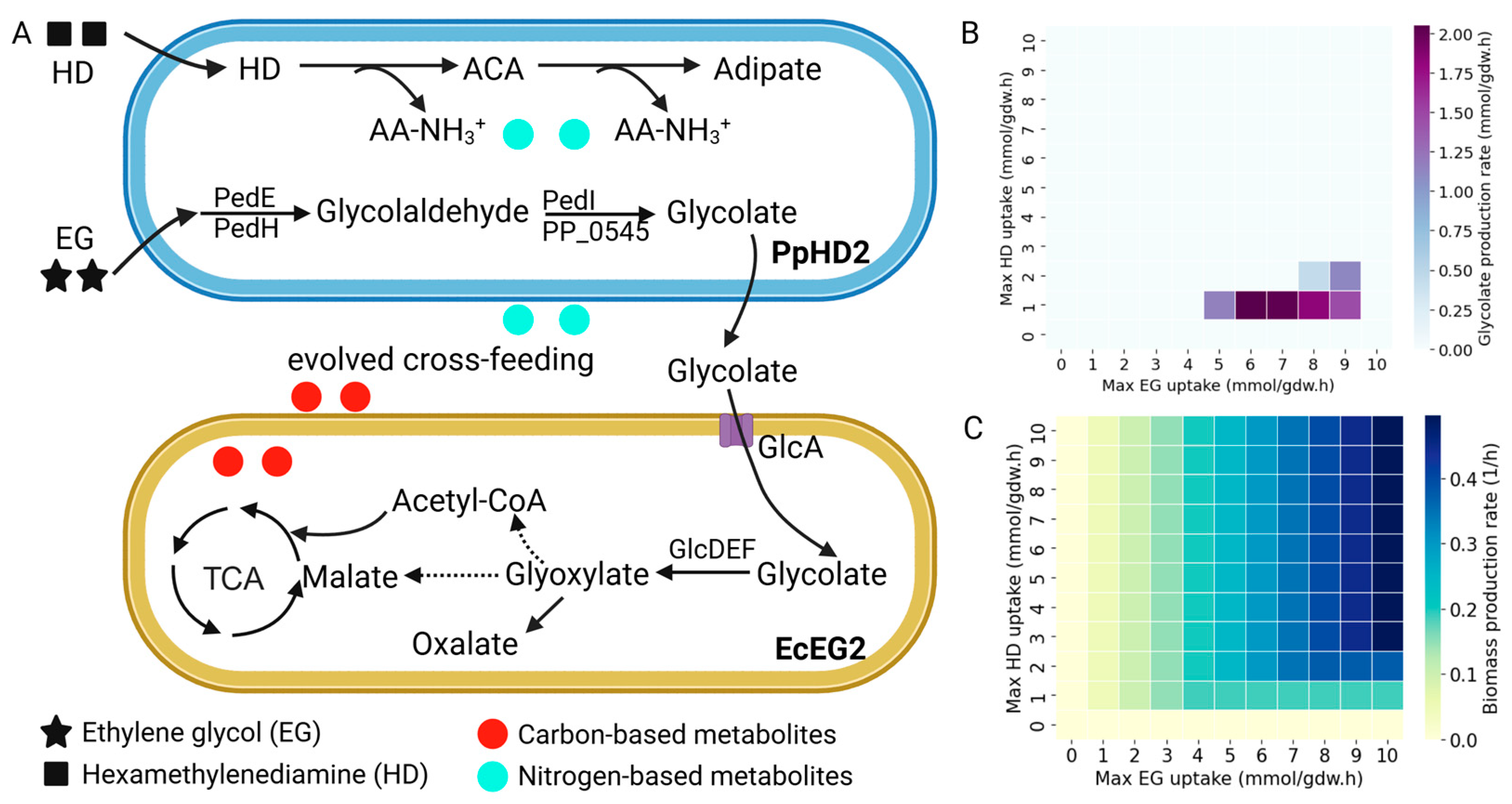Processes 13 00375 g007