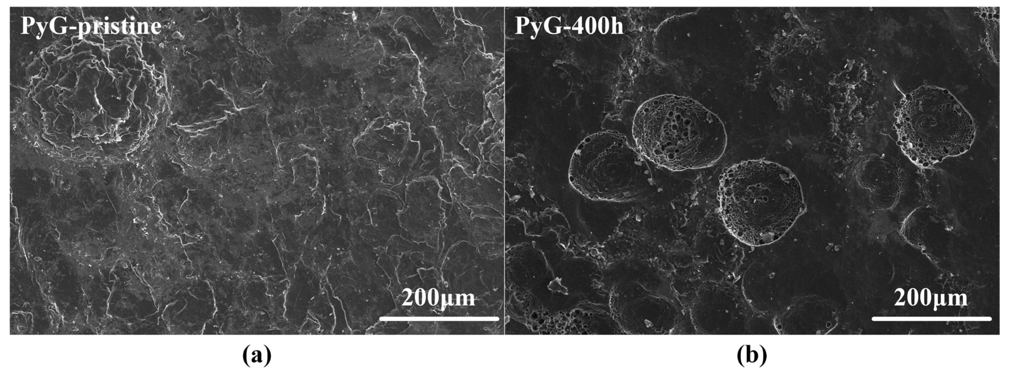 Processes 13 00381 g005