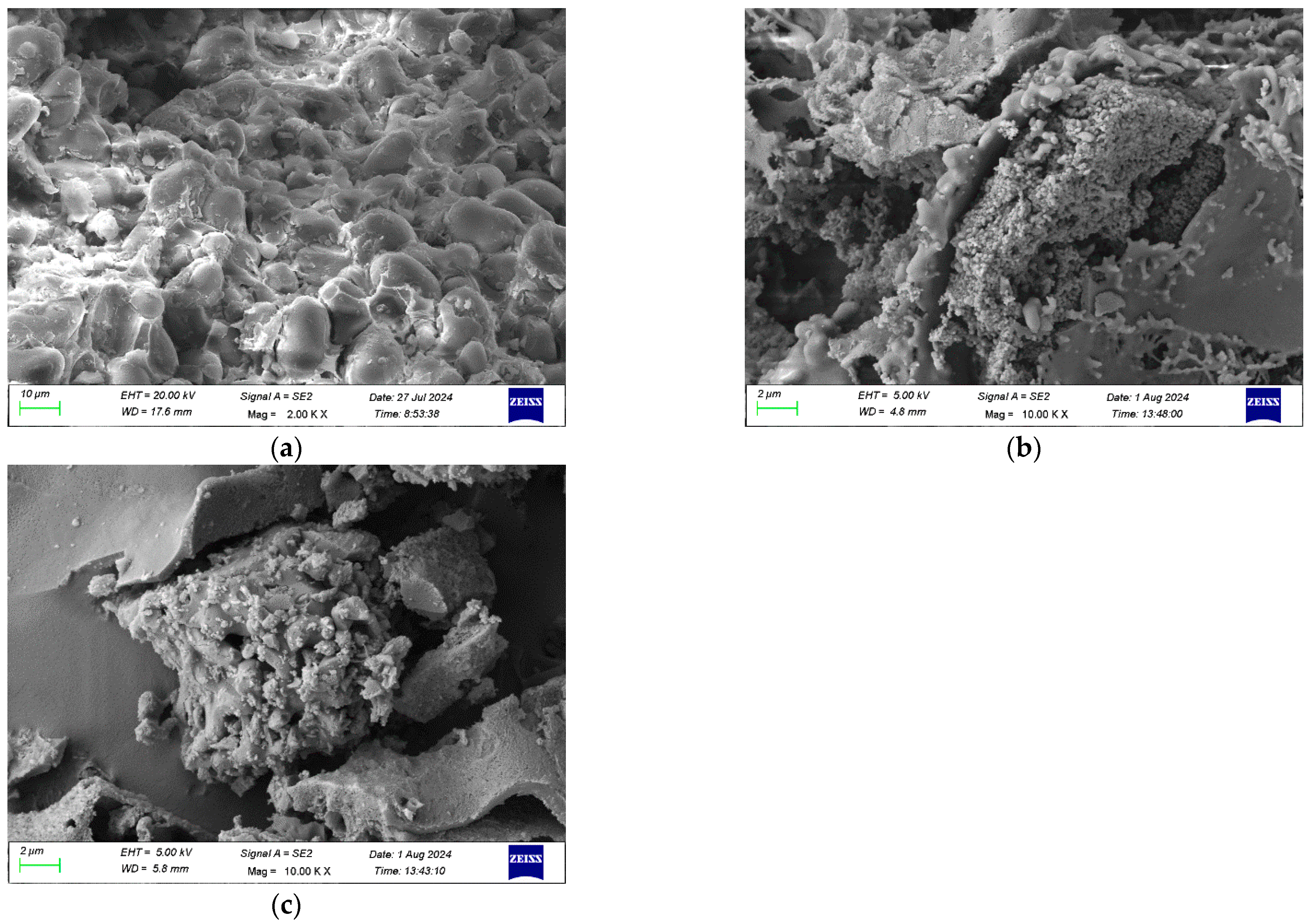 Processes 13 00385 g003