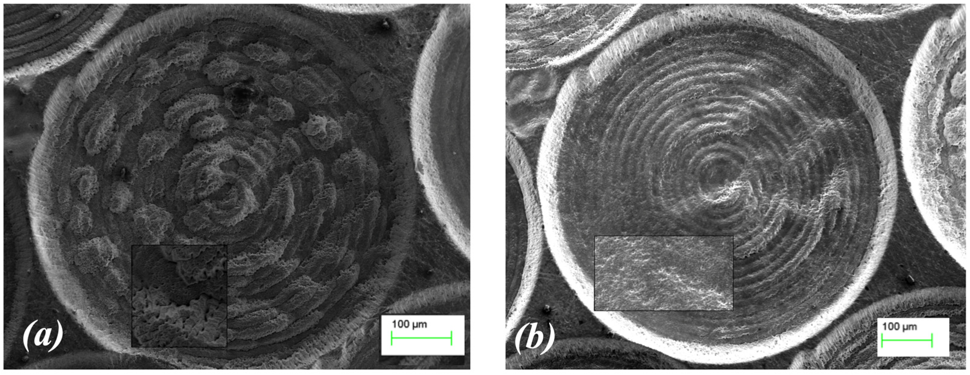 Processes 13 00388 g010