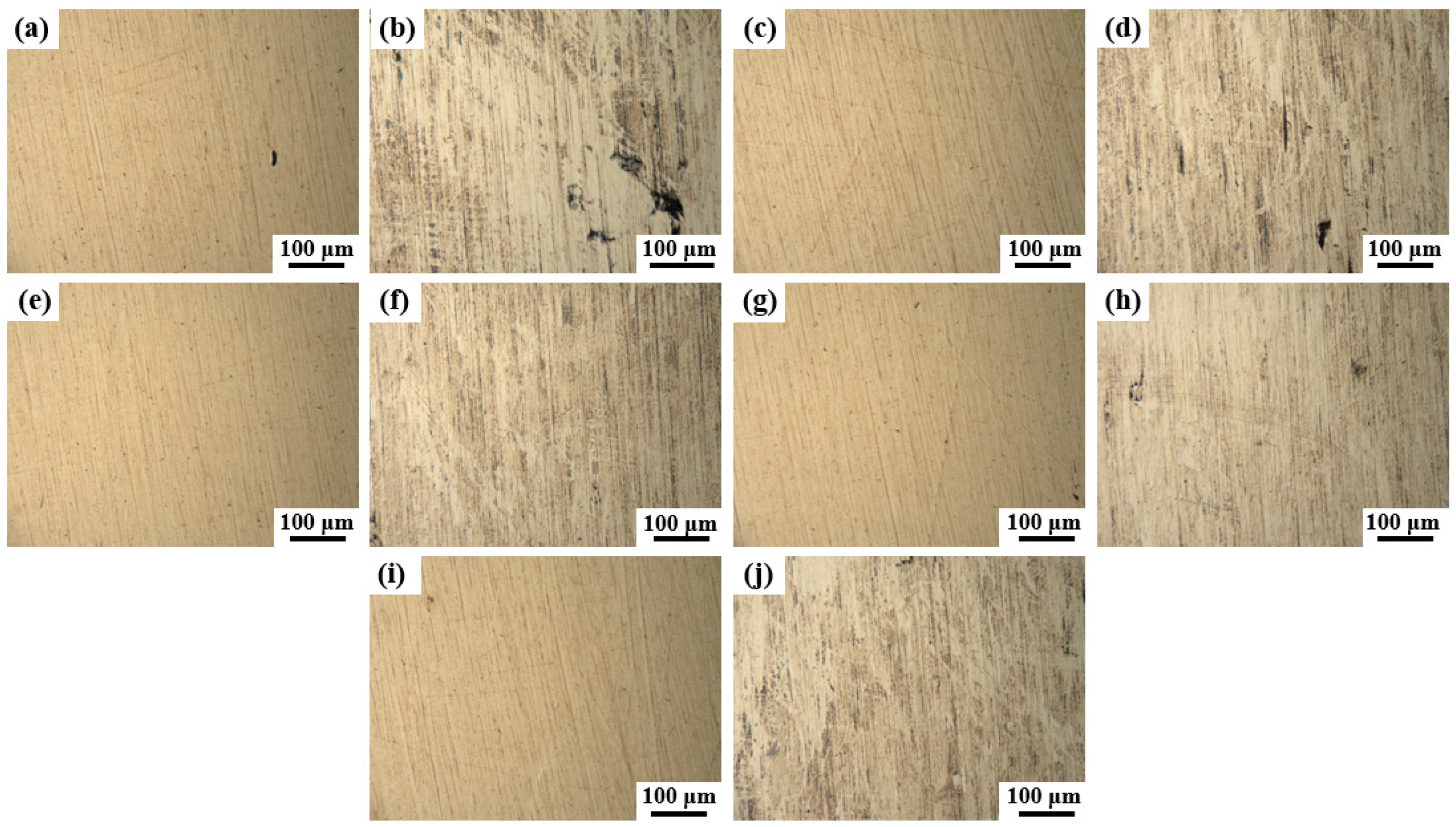 Processes 13 00416 g023