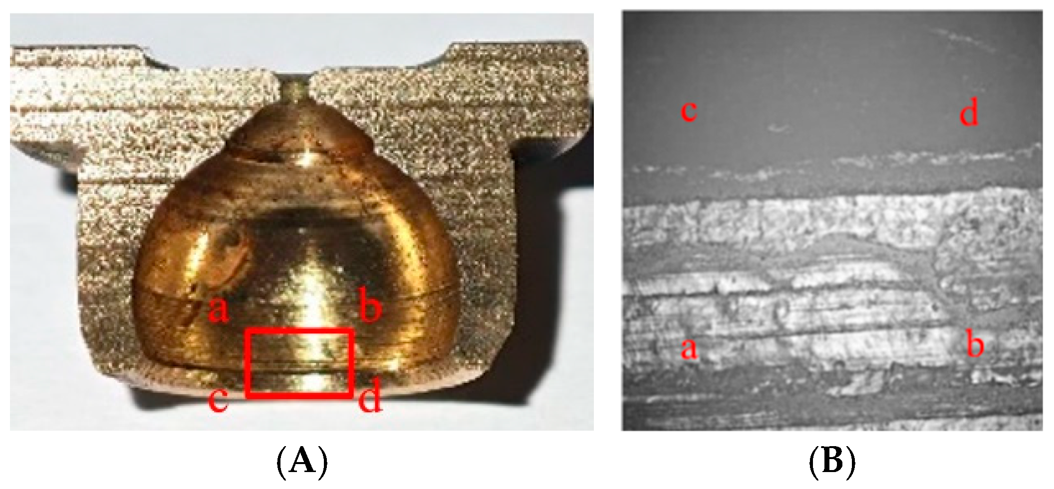 Processes 13 00417 g006