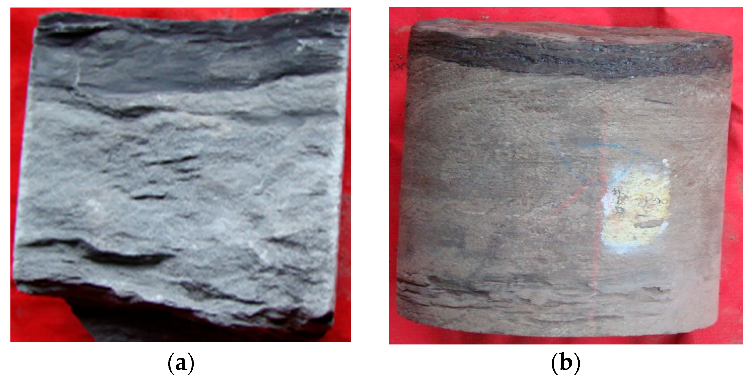 Processes 13 00425 g001
